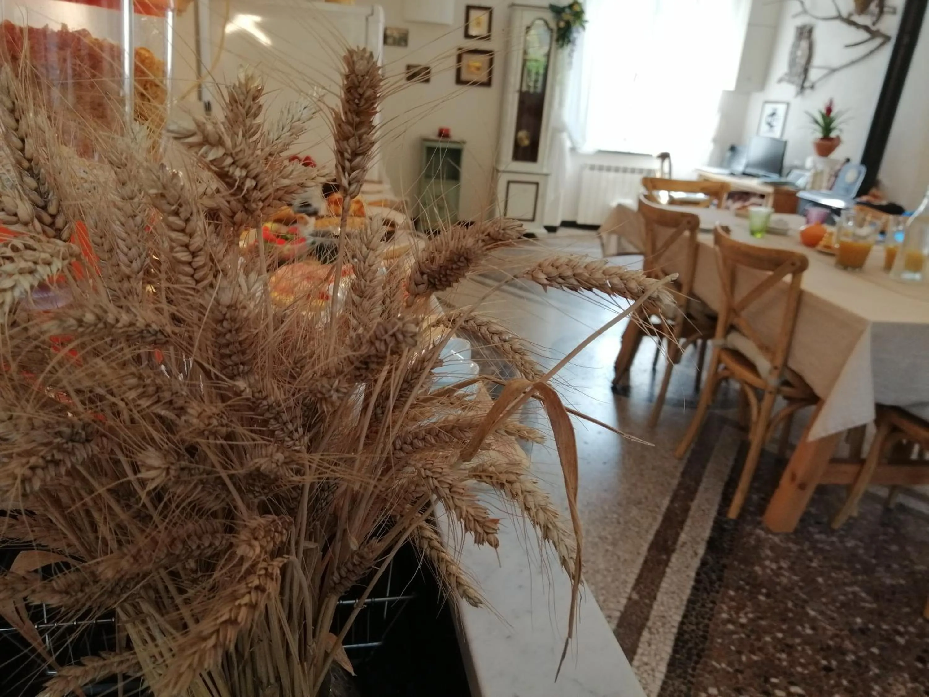 B&B Alle Ortensie Blu