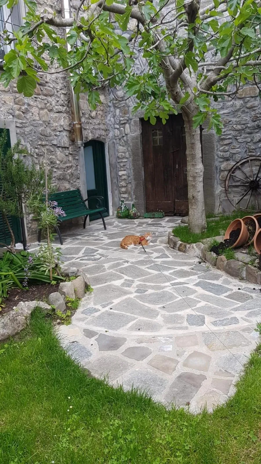 B&B Alle Ortensie Blu