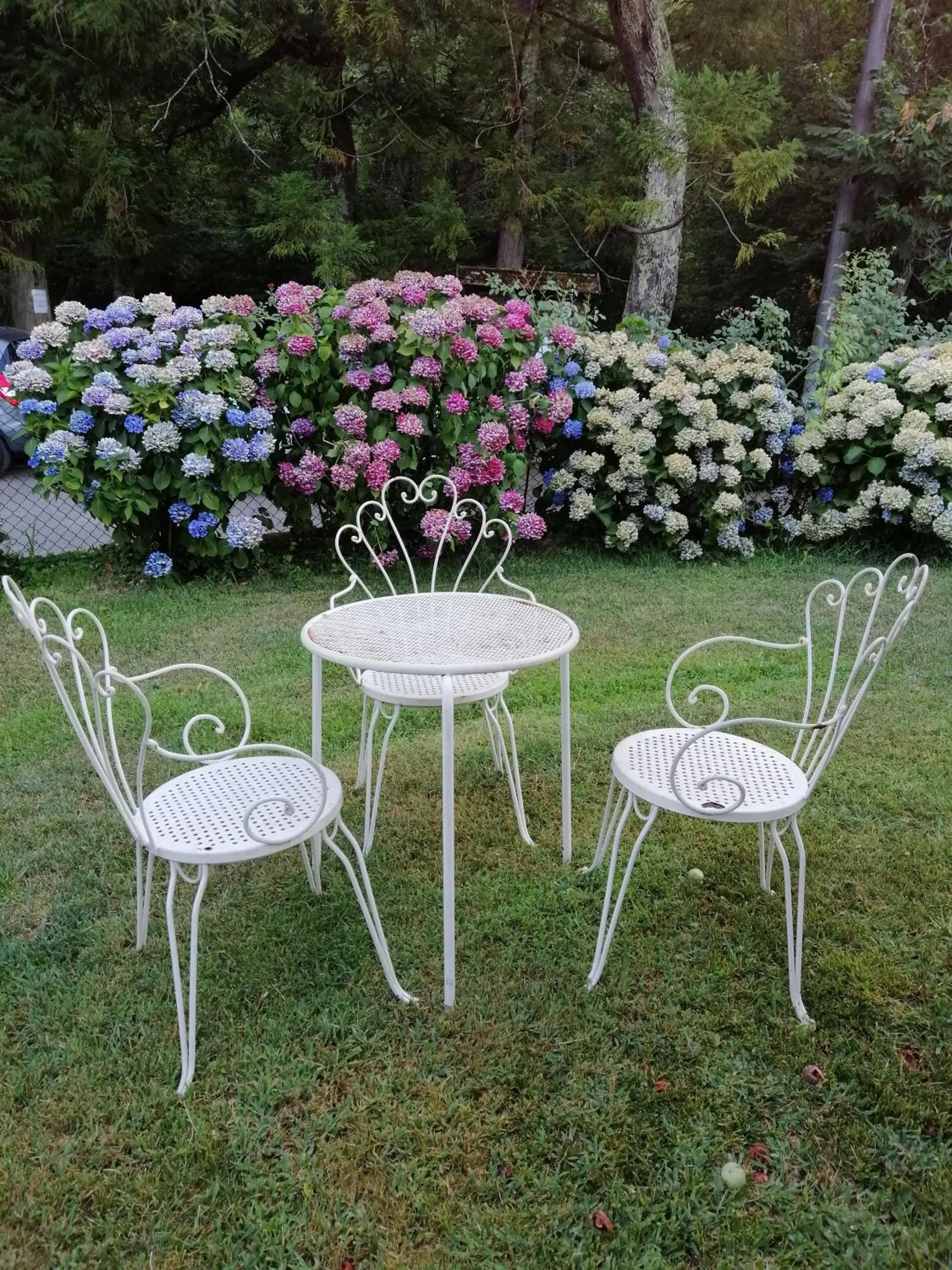 B&B Alle Ortensie Blu