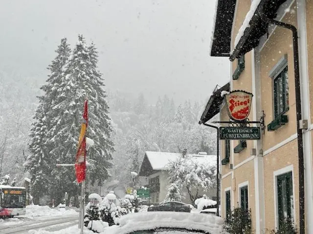 Winter in Landgasthof Fürstenbrunn