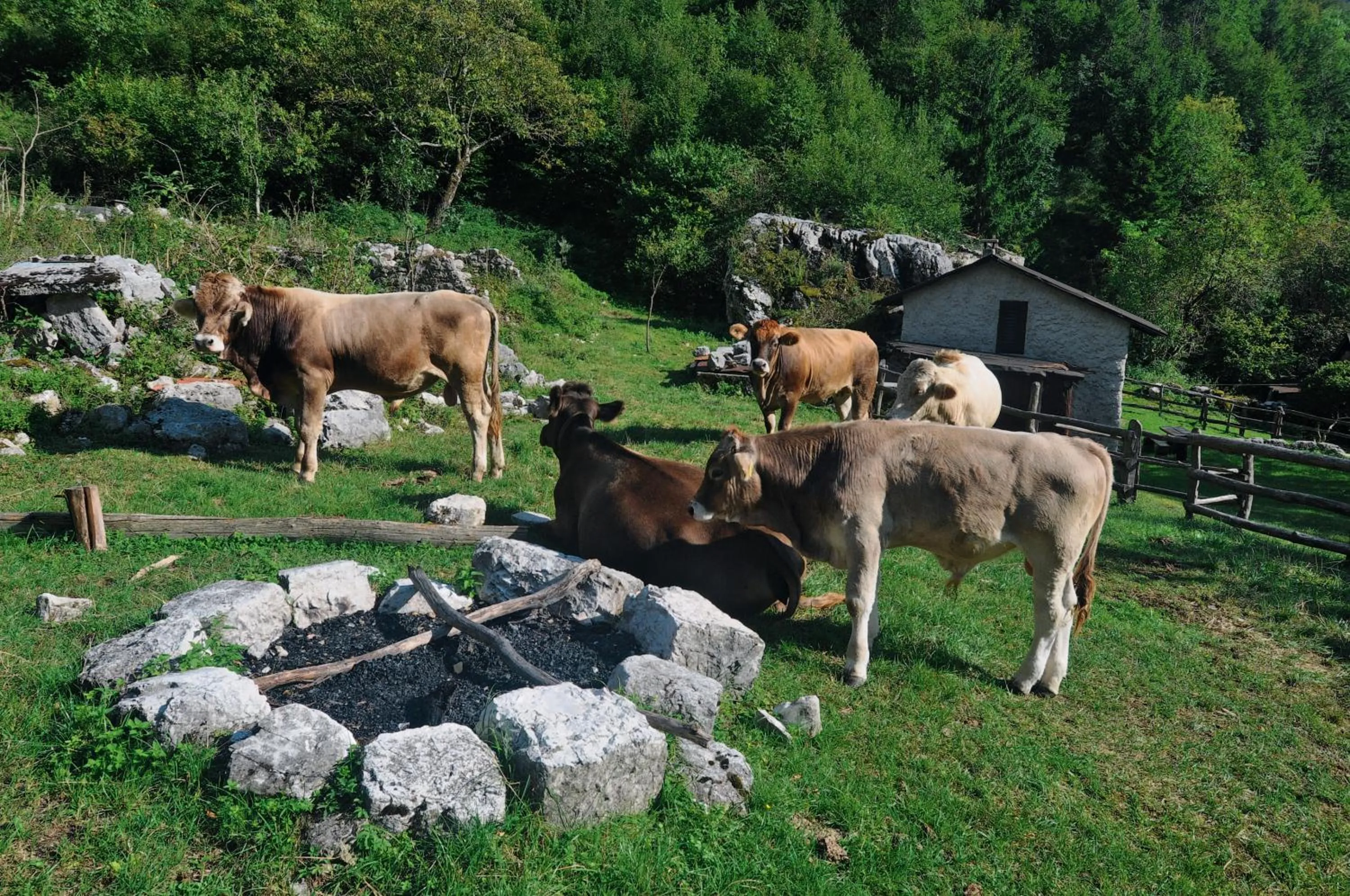 Natural landscape in Apartments Hlapi with SPA