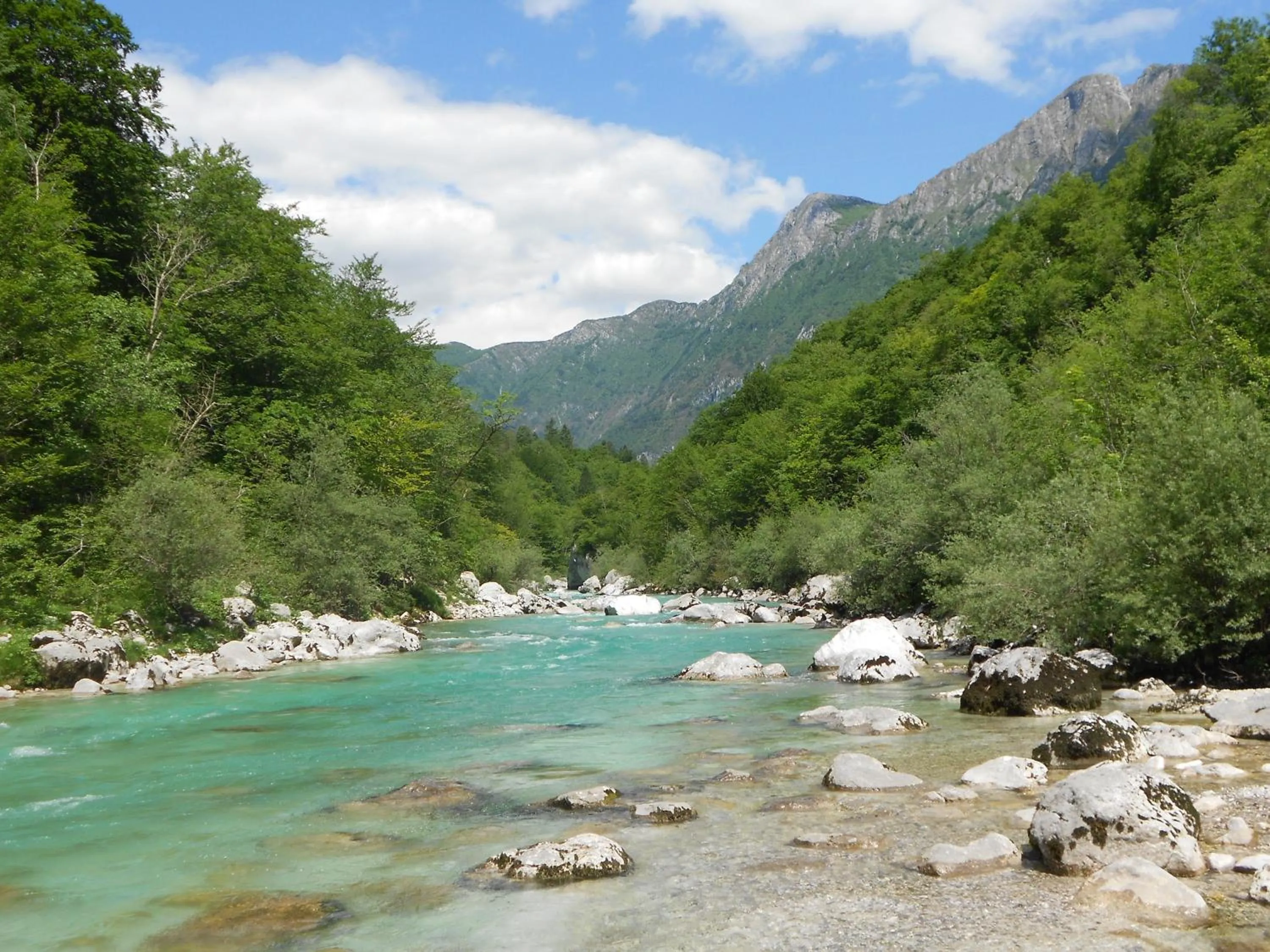 Other in Apartments Hlapi with SPA