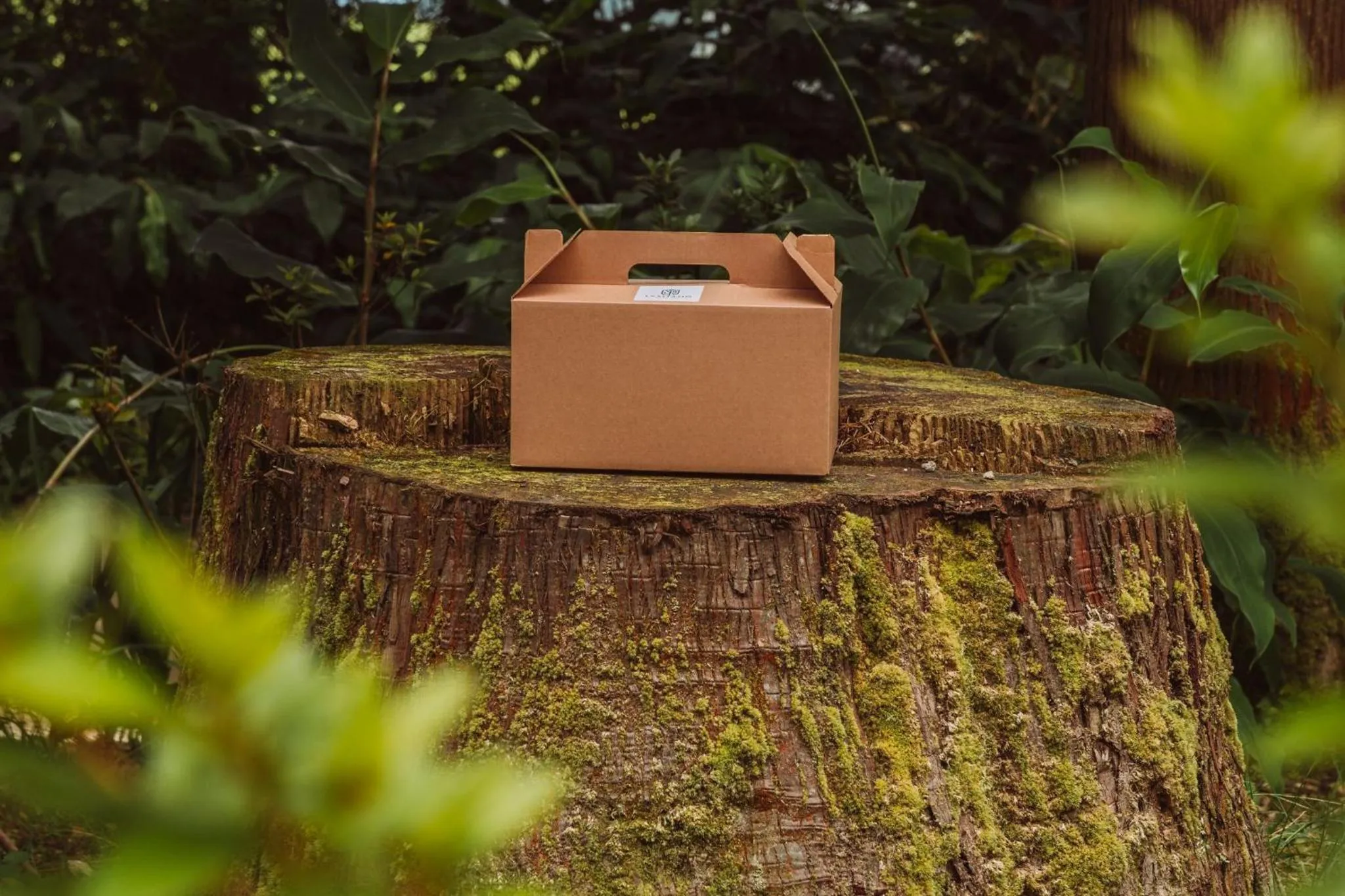 Natural landscape in Lusitano Garden Villas