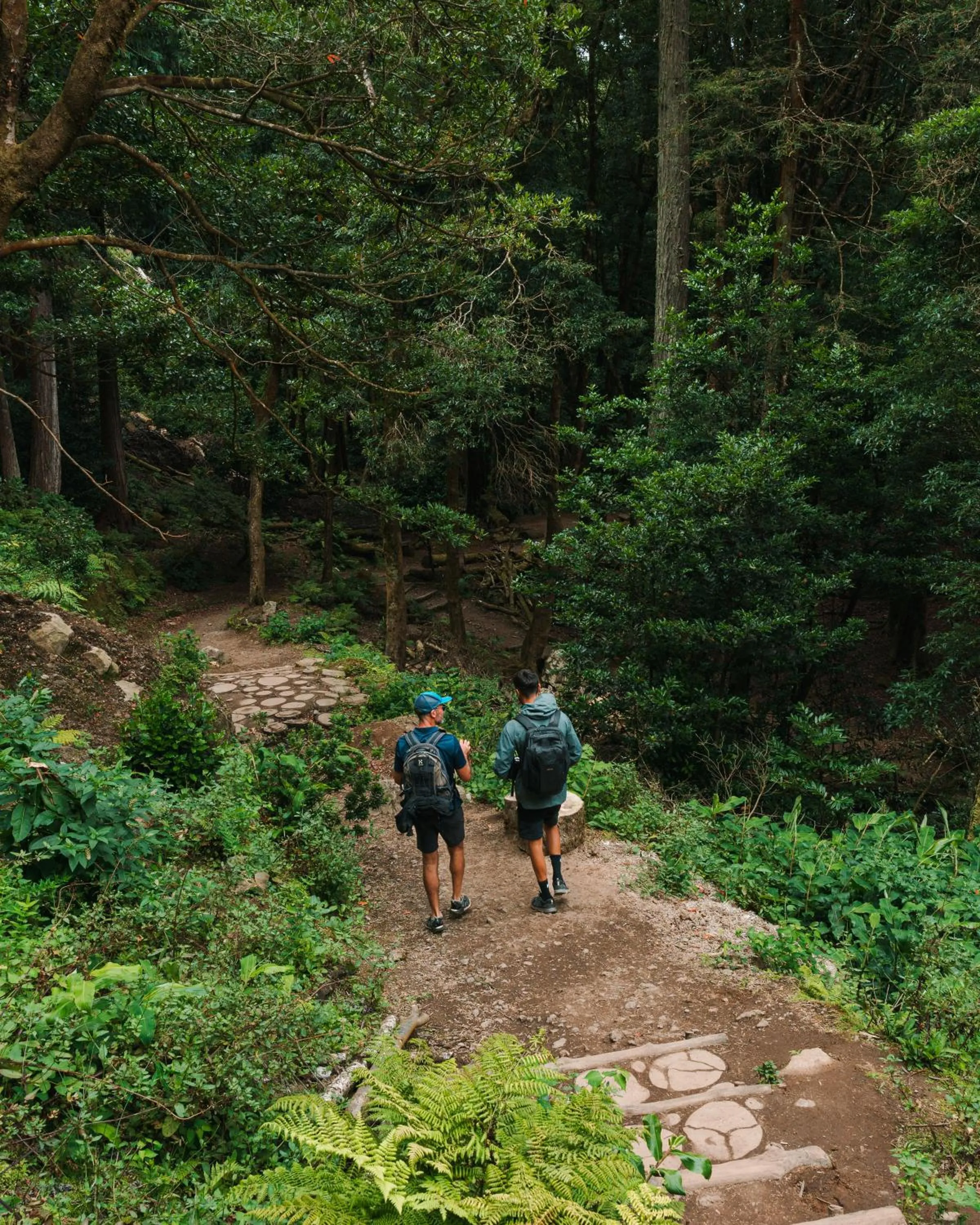Nearby landmark in Lusitano Garden Villas
