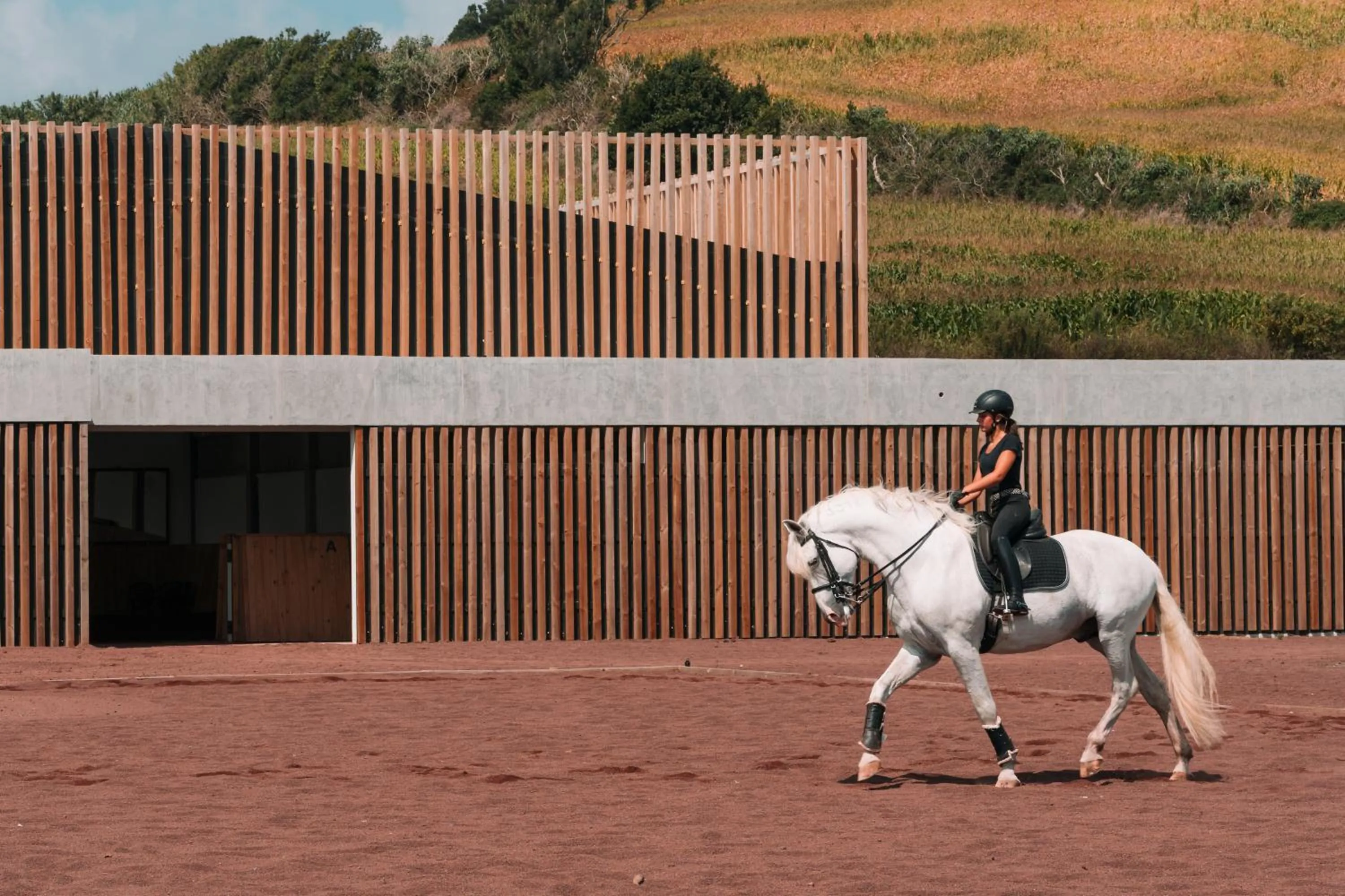 Horse-riding in Lusitano Garden Villas