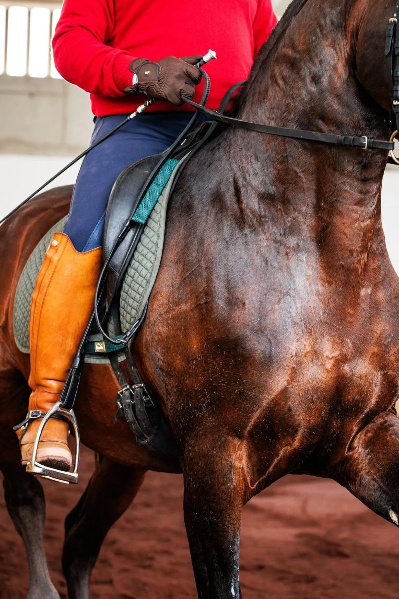 Horse-riding in Lusitano Garden Villas