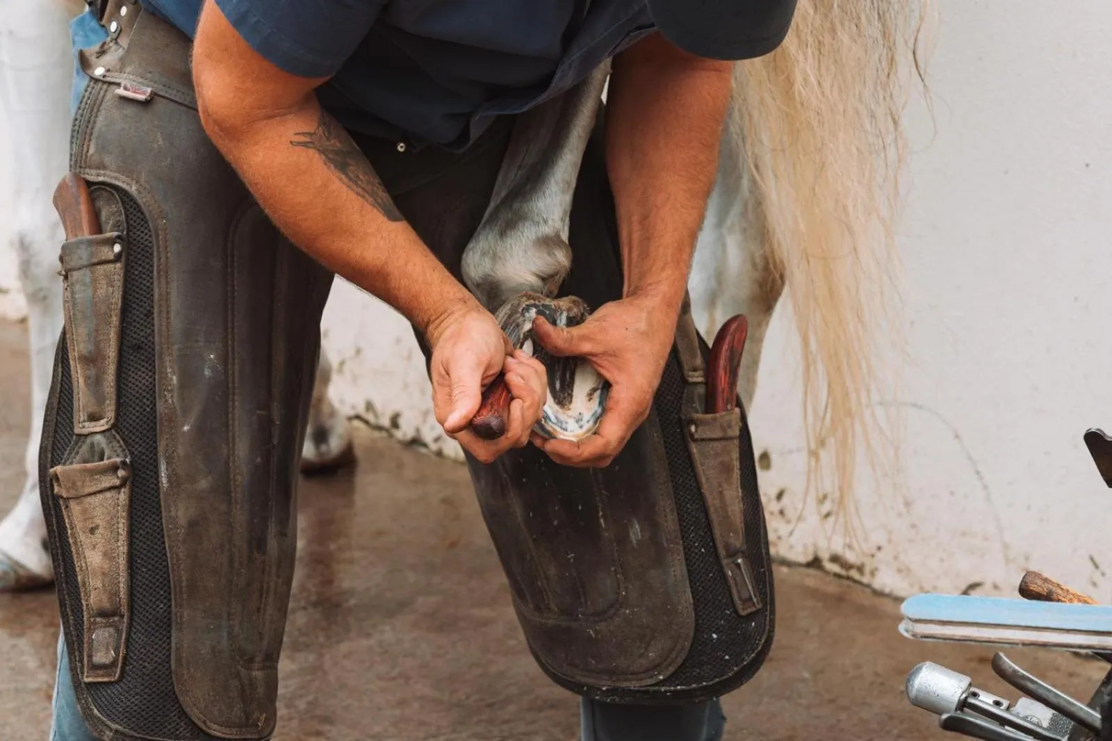 People in Lusitano Garden Villas