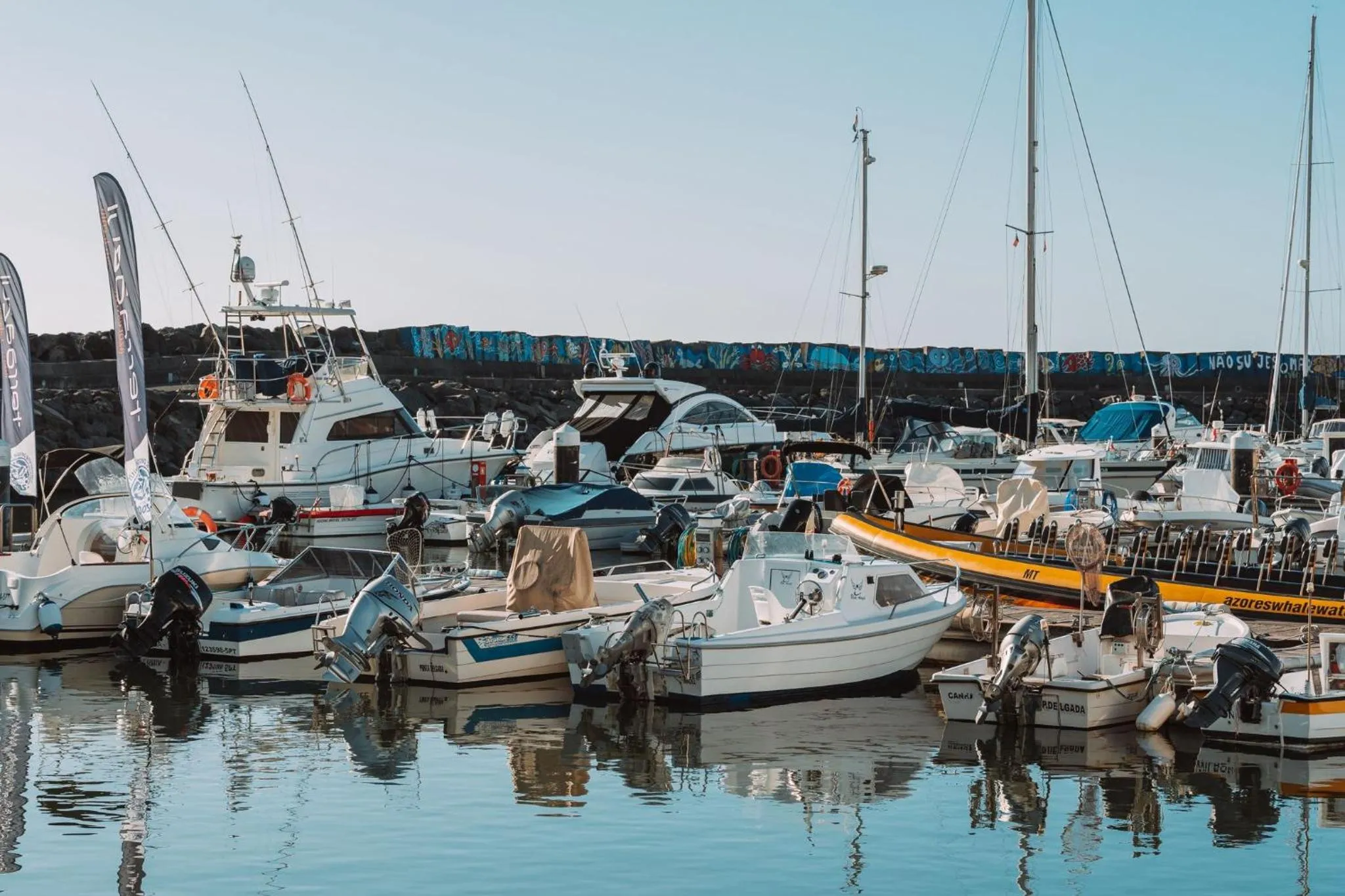 Activities in Lusitano Garden Villas