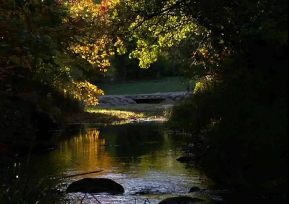 Nearby landmark in Cedarvale Cabins Turner Falls