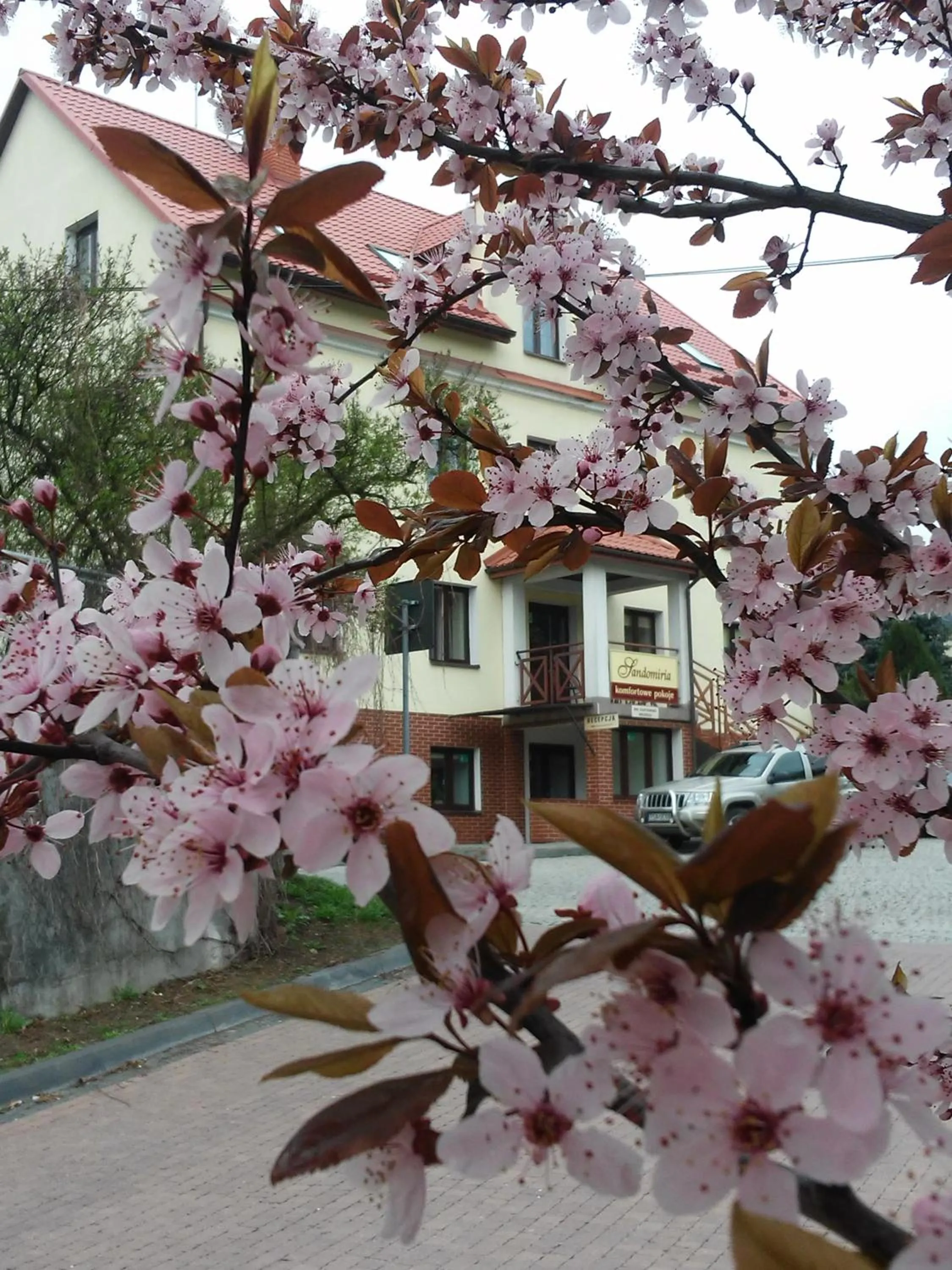 Facade/entrance in Sandomiria