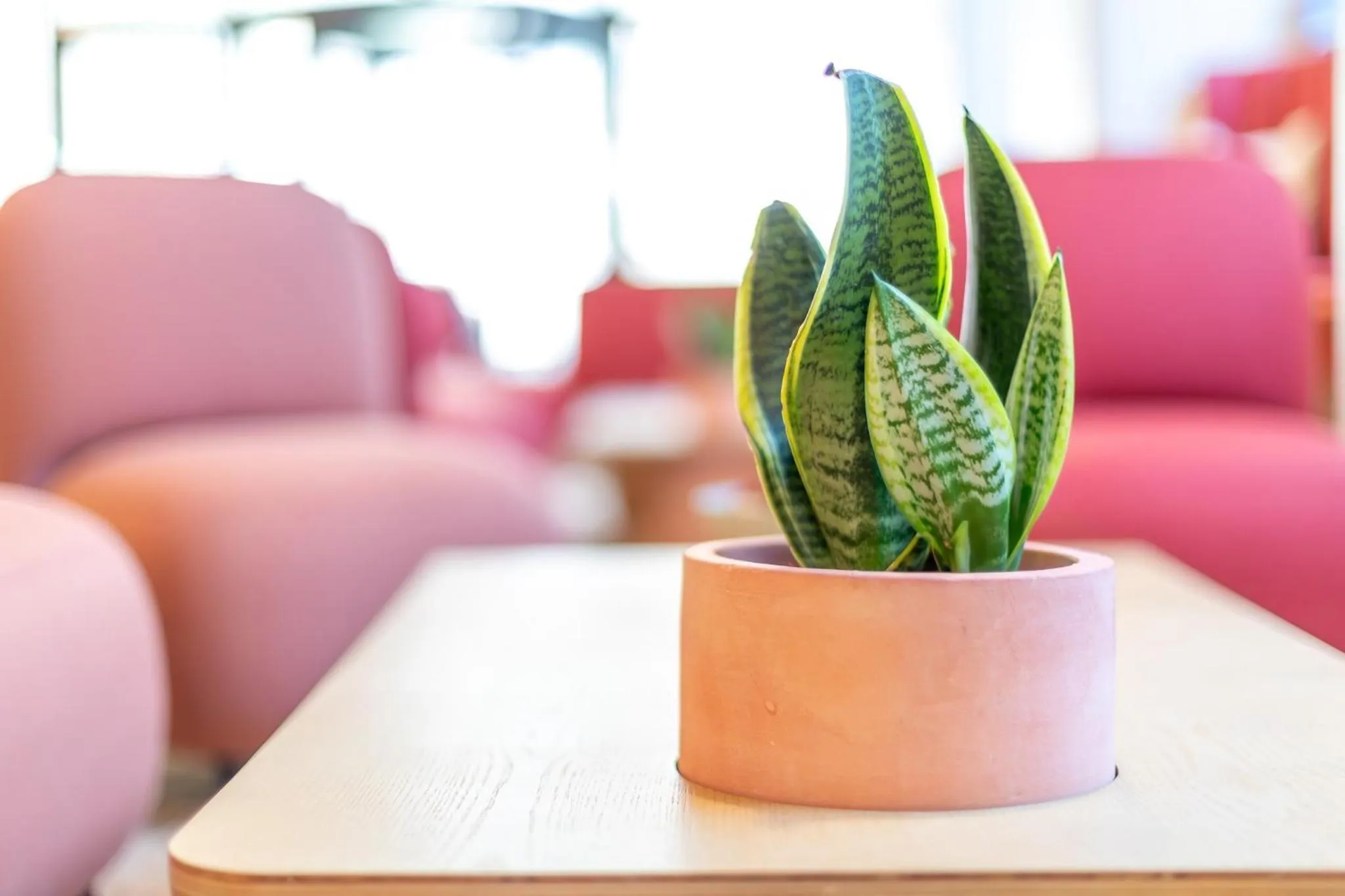 Lobby or reception in Hotel Nido Malvarrosa