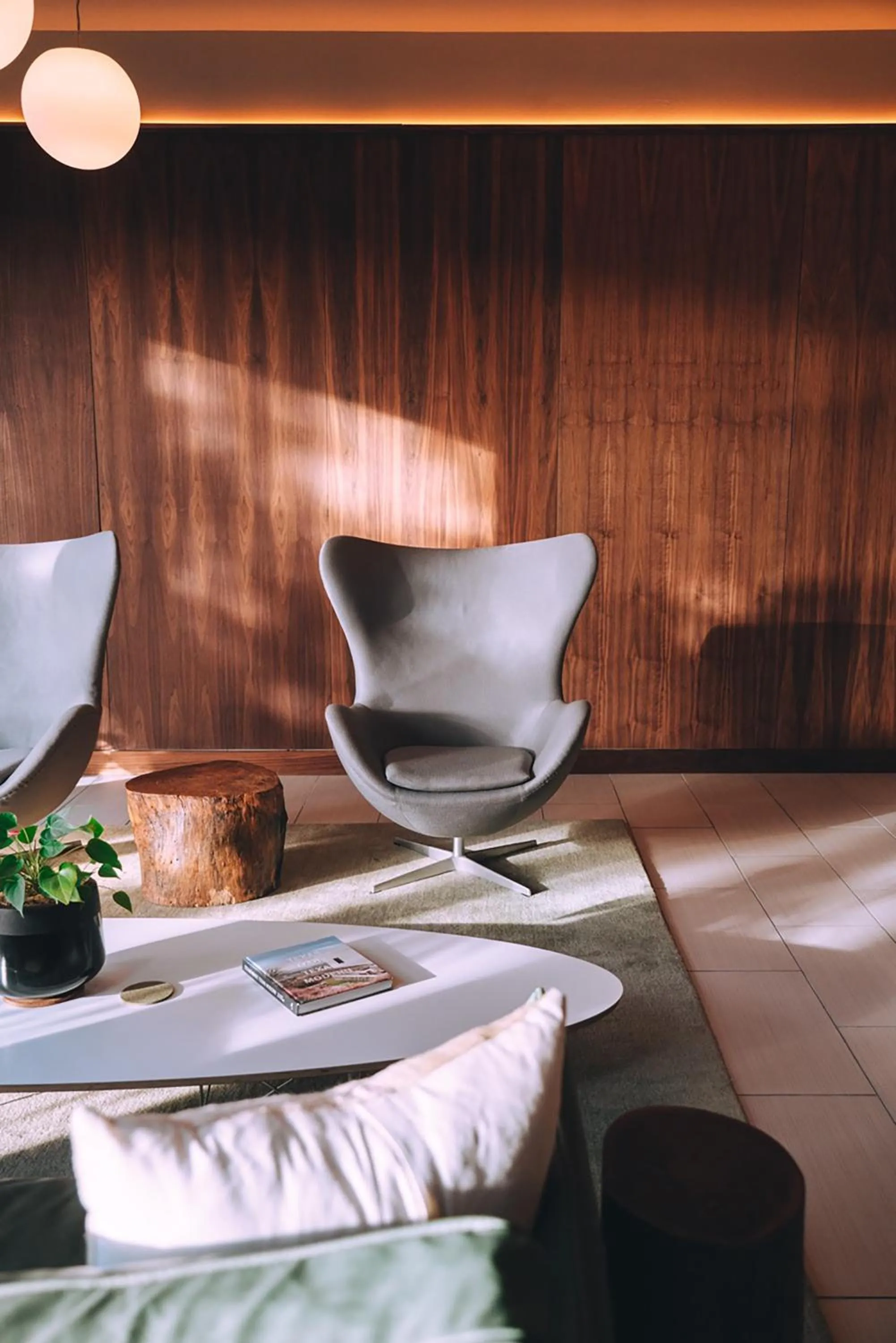 Communal lounge/ TV room in Frame Hotel - Treehouse