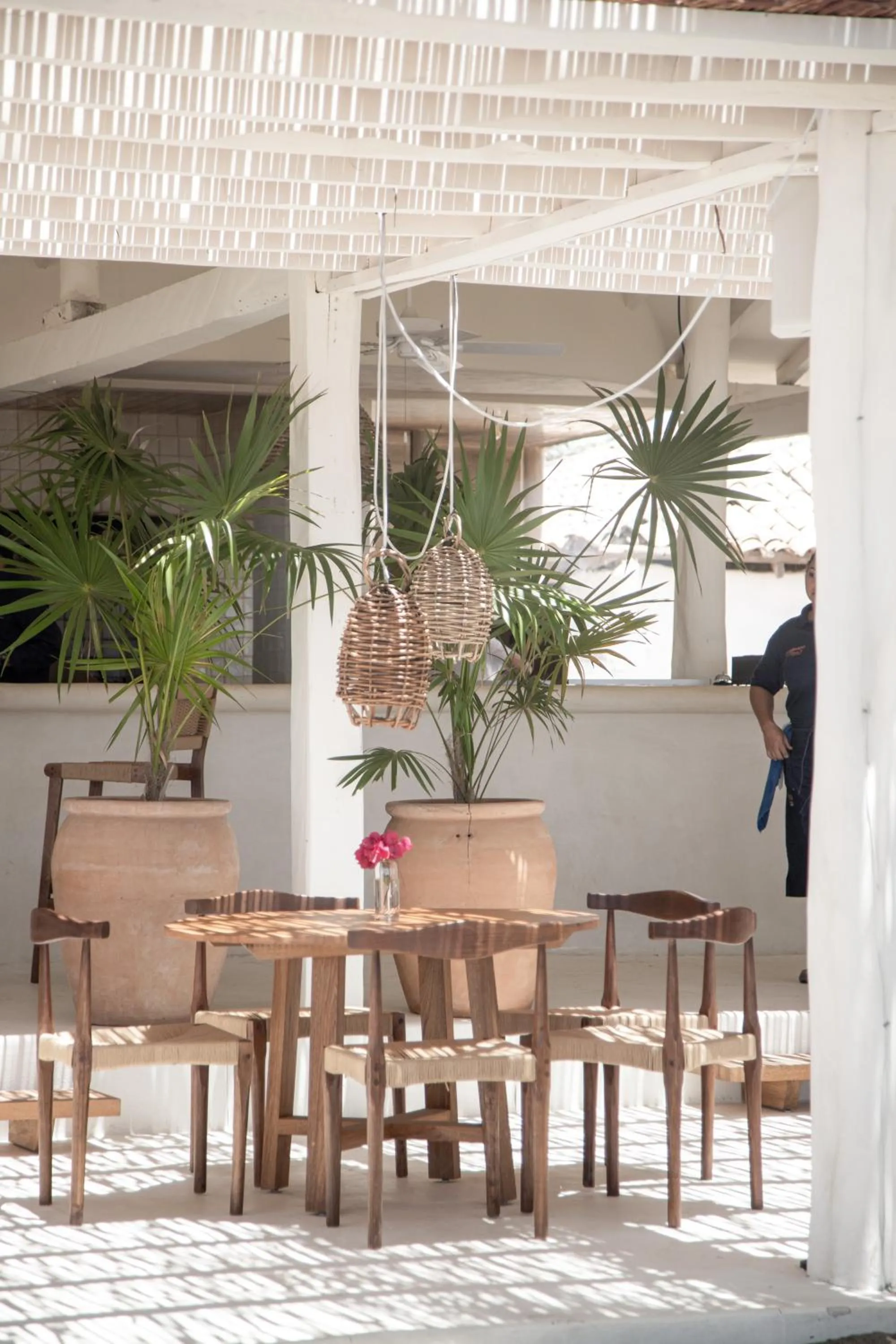 Restaurant/places to eat in Hotel Pomelo