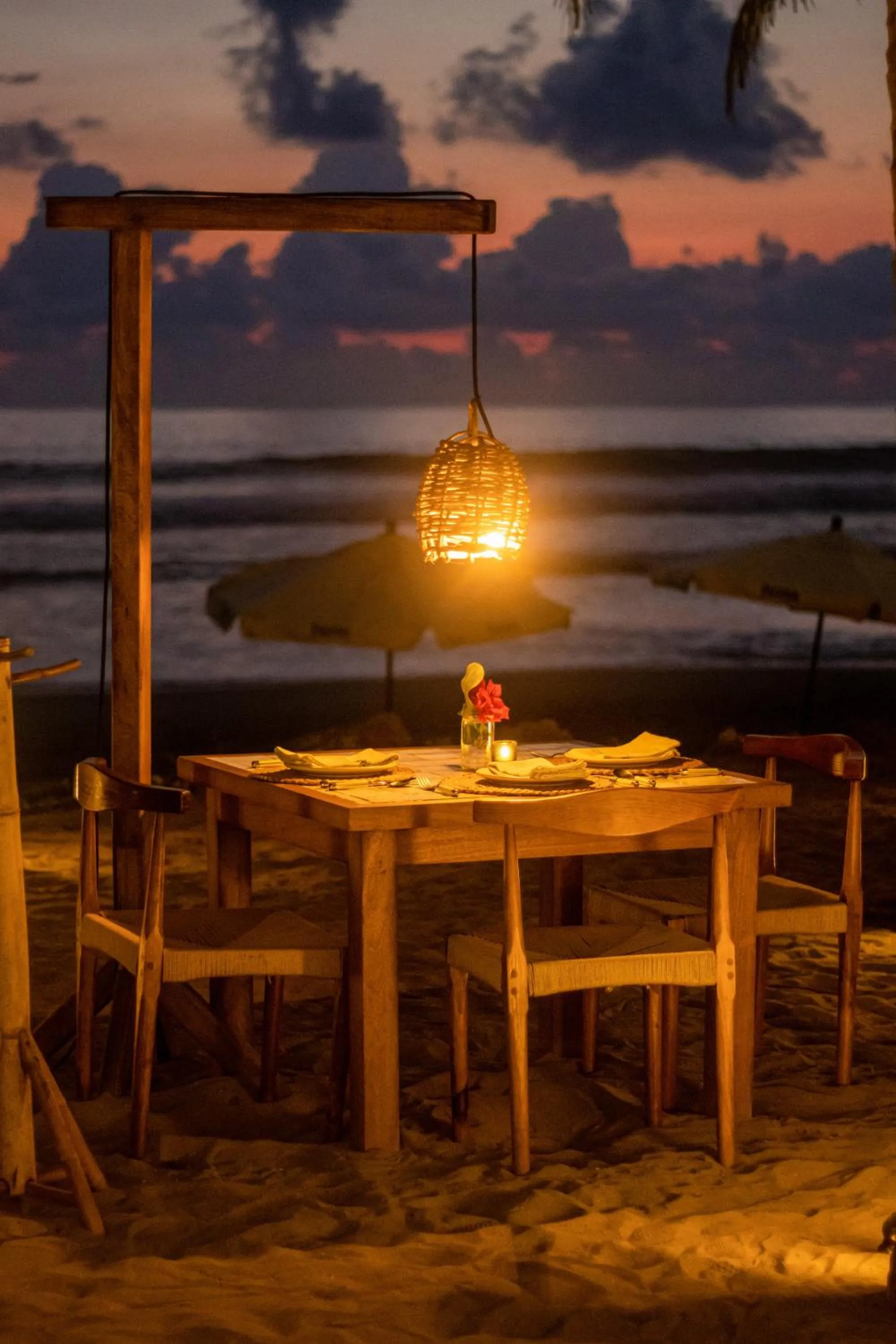 Restaurant/places to eat in Hotel Pomelo