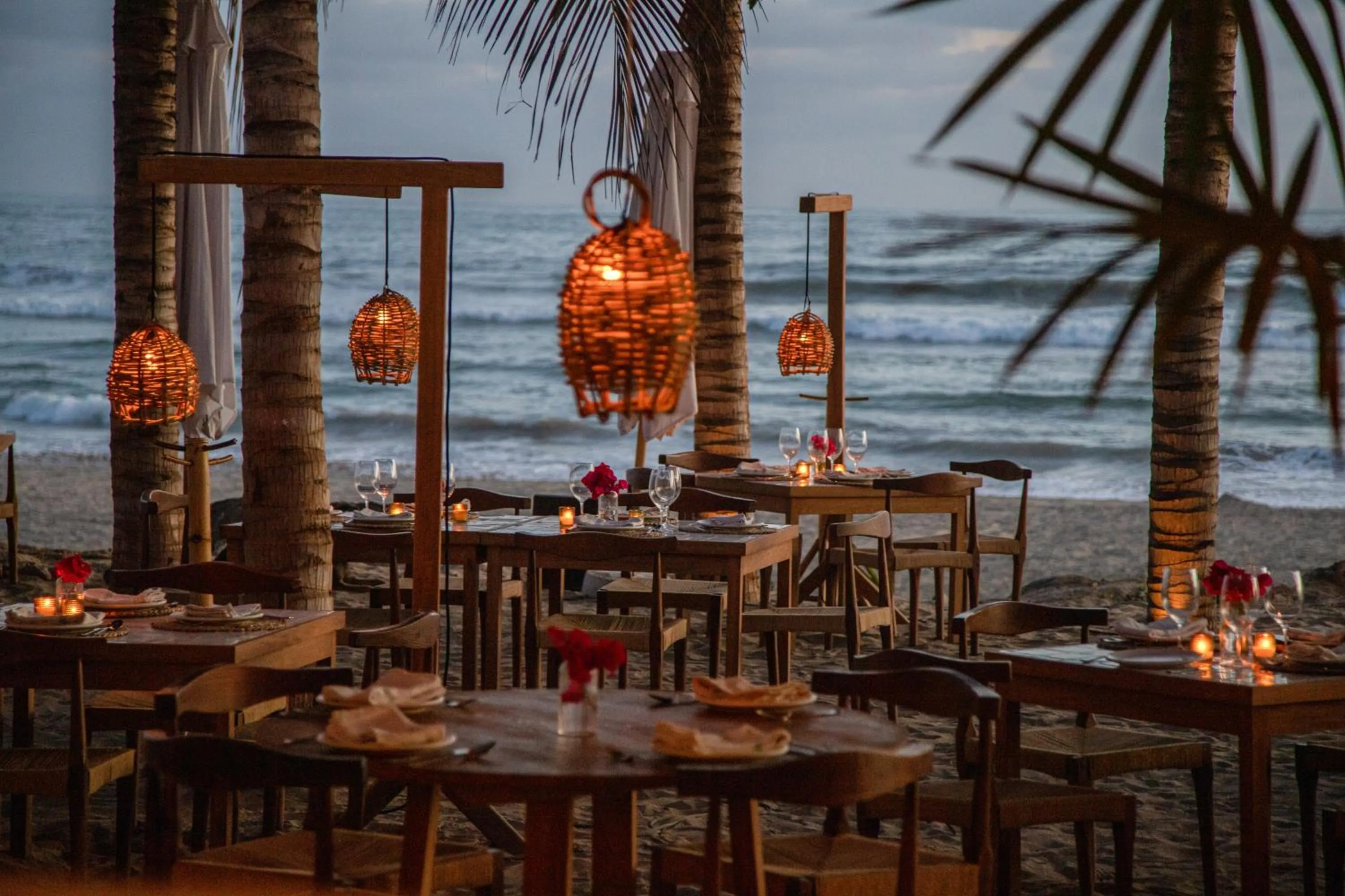 Restaurant/places to eat in Hotel Pomelo