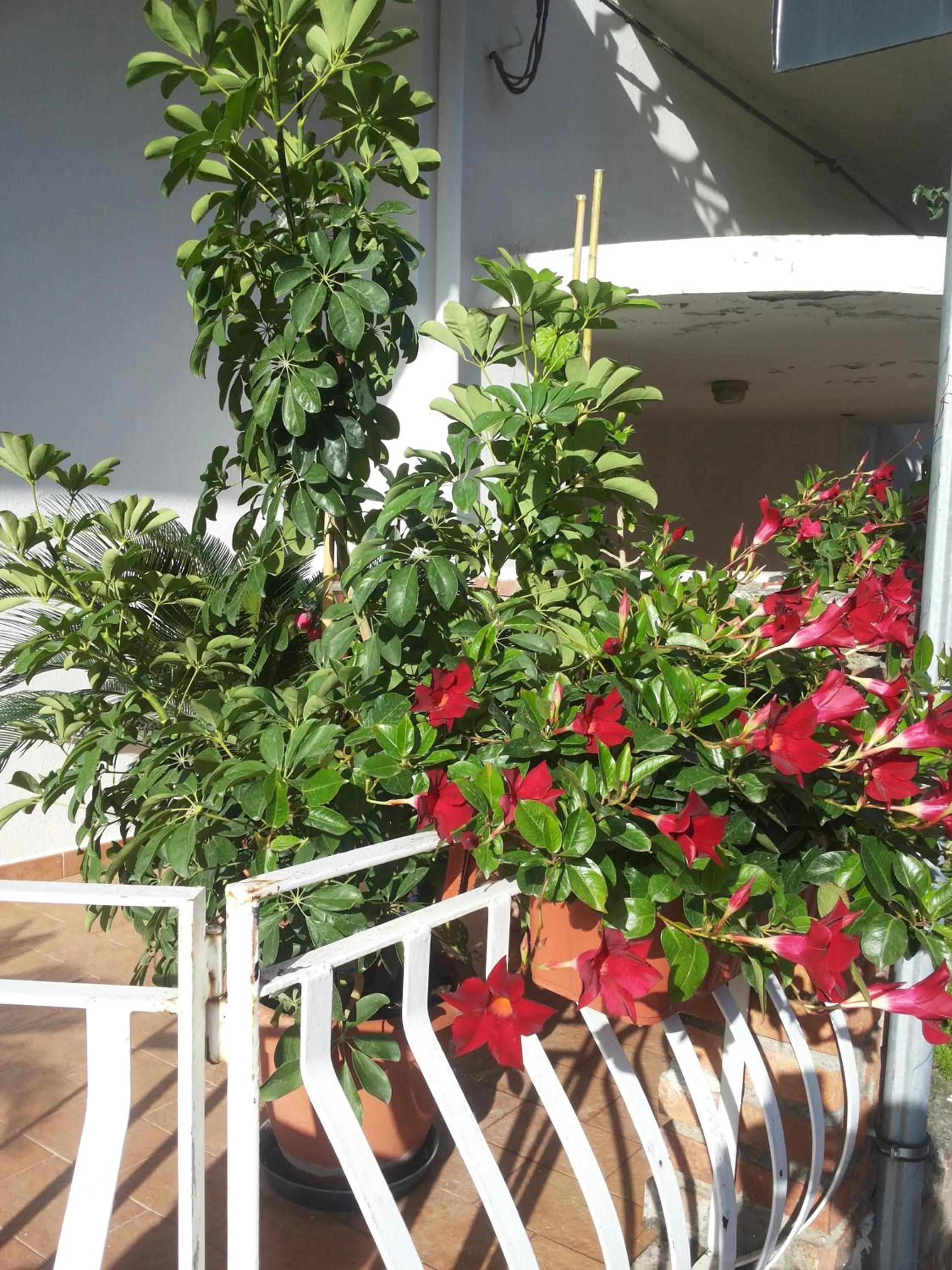 Property building in B&b Irma