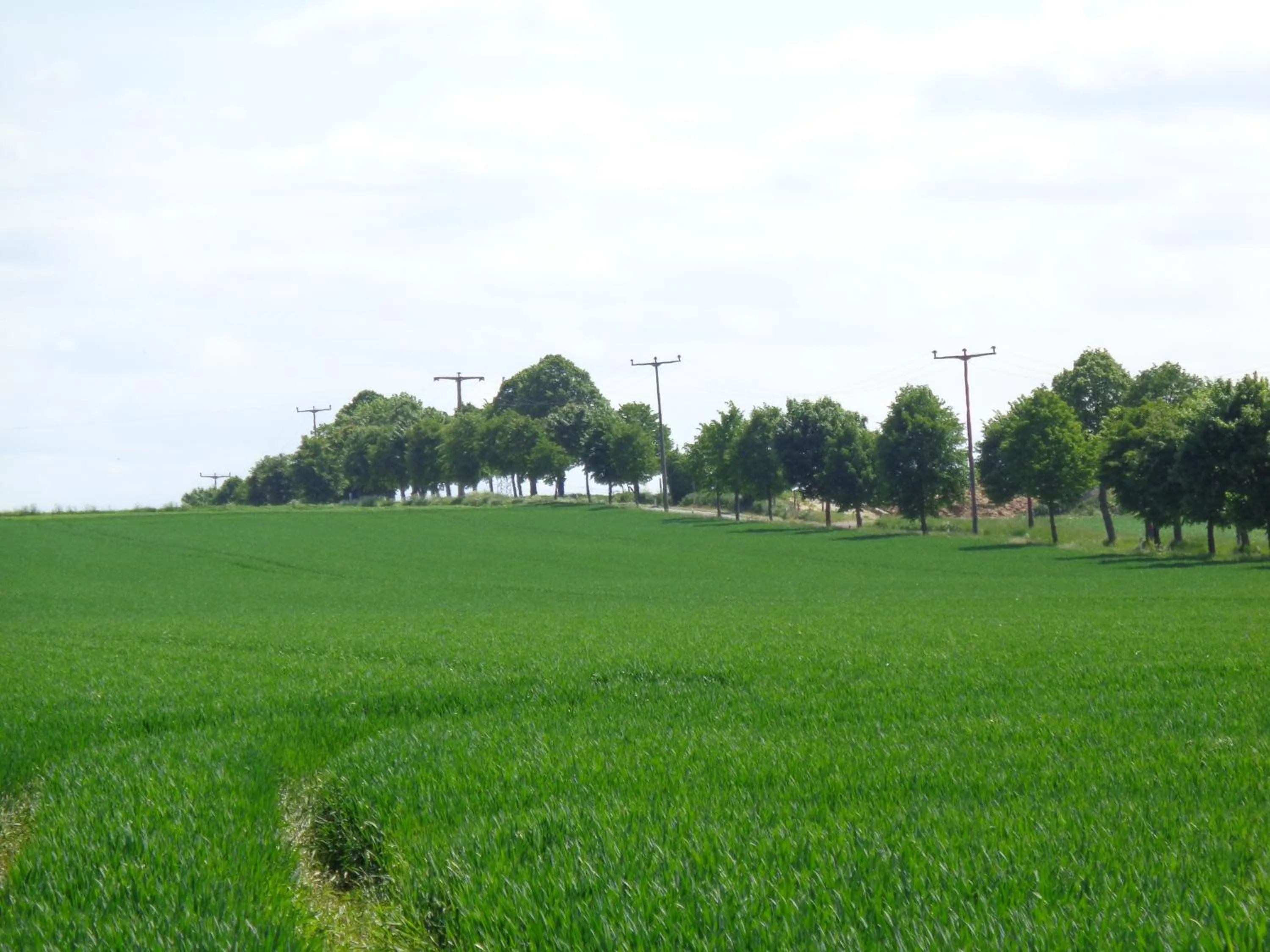Natural landscape in Hotel Apartment Puell