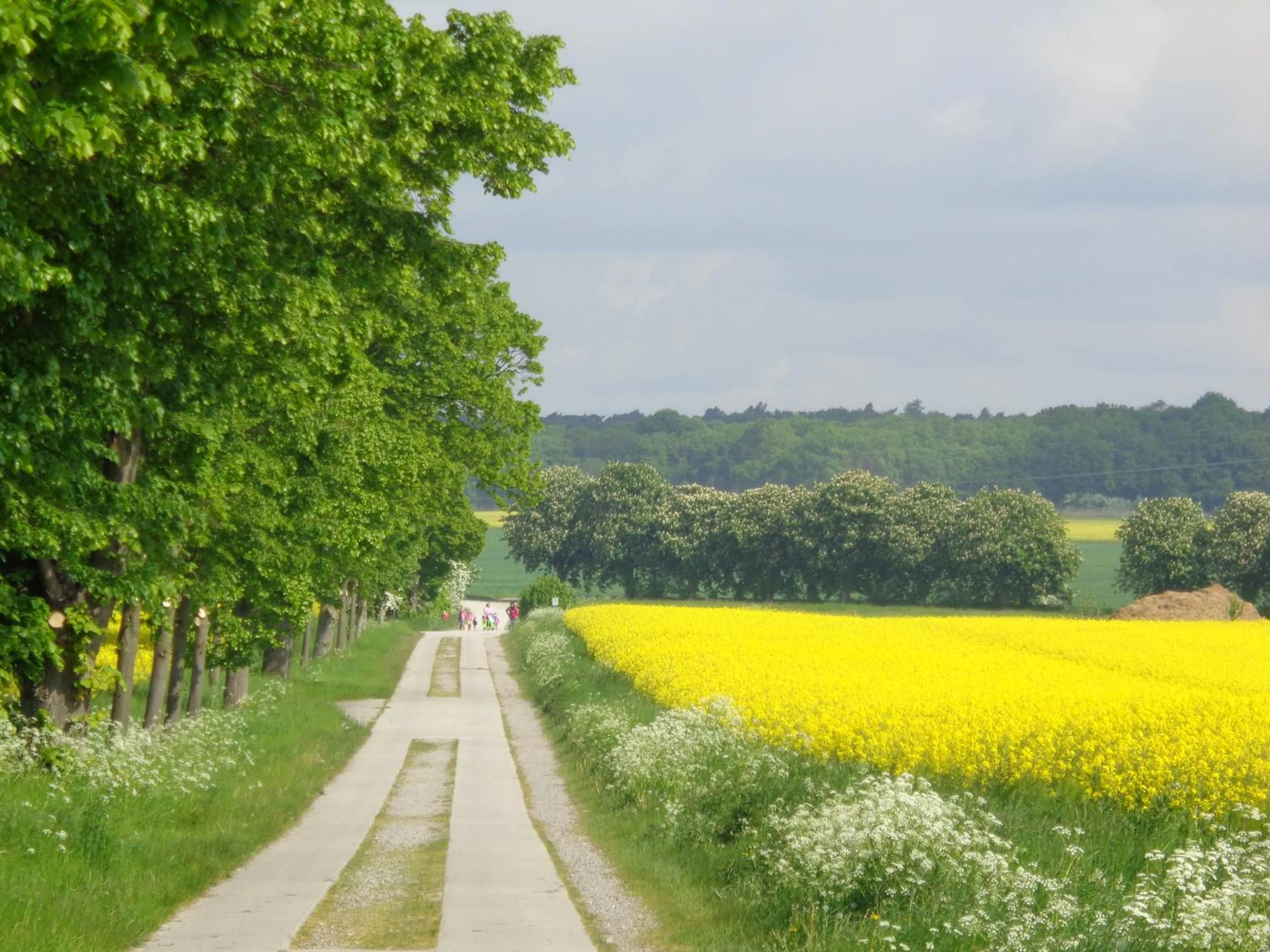 Cycling in Hotel Apartment Puell