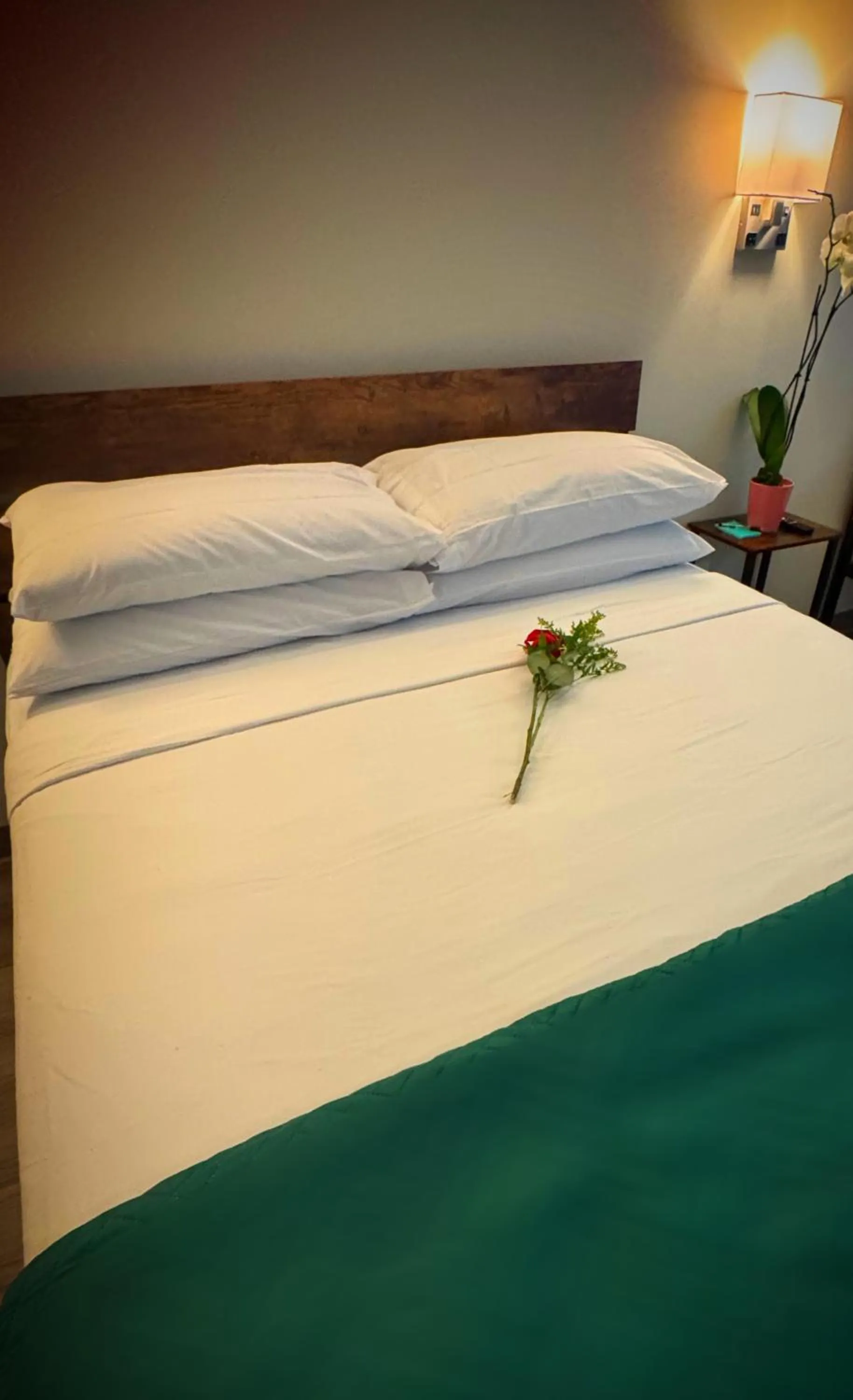 Bed in Nova Hotel JFK