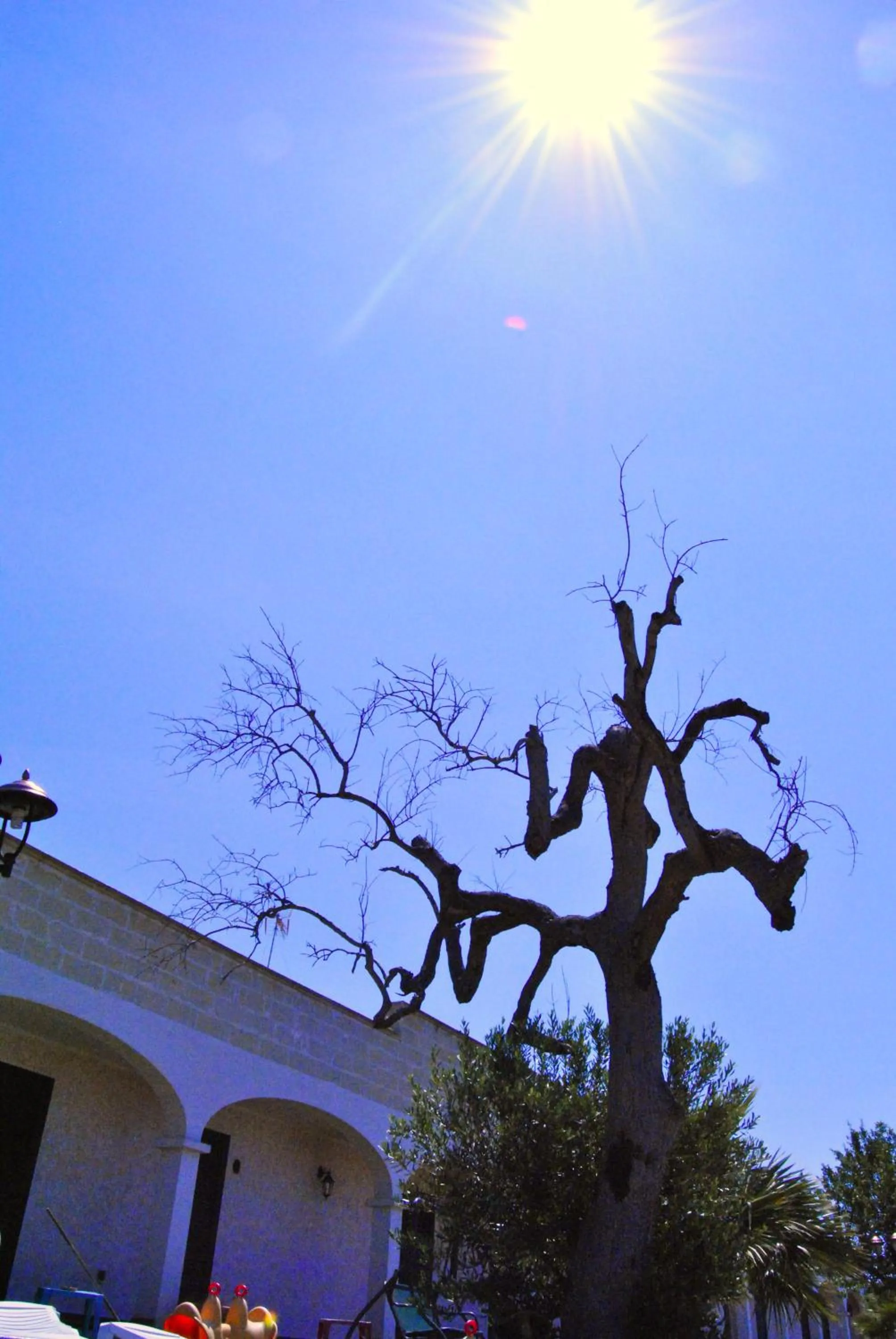 Garden view in Agriturismo La Lucia