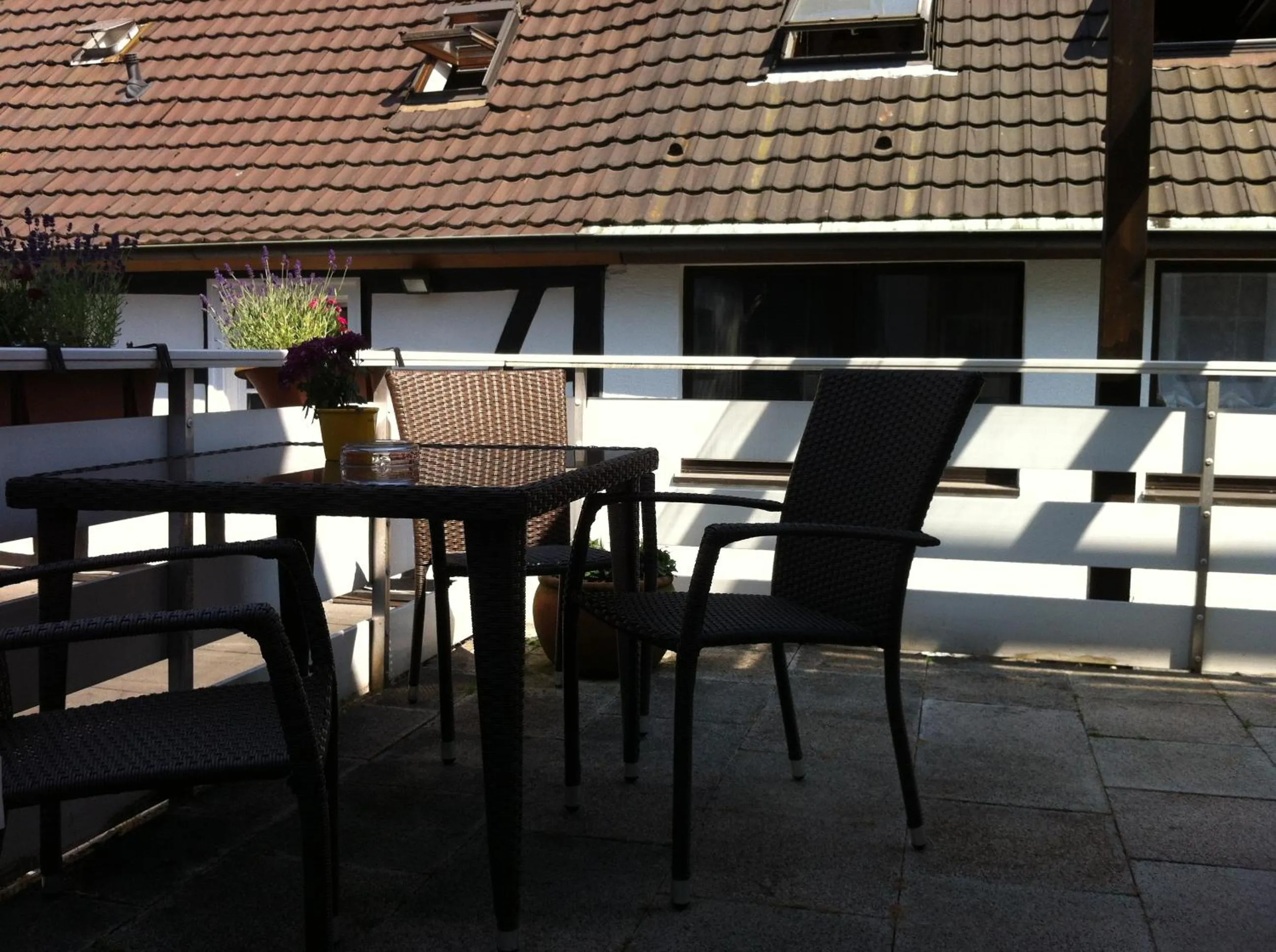 Balcony/Terrace in Hotel Reesenhof