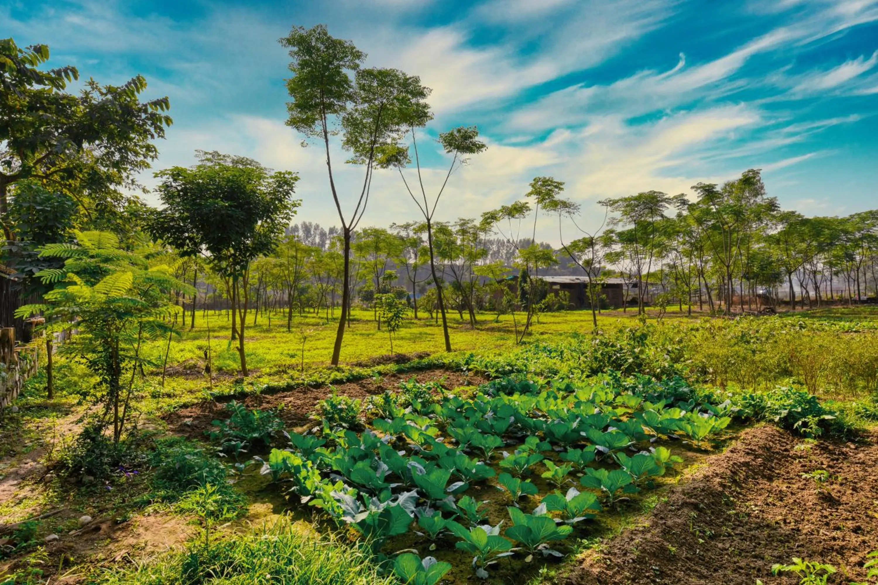 Sukoon - A Wellness Resort, Uttarakhand