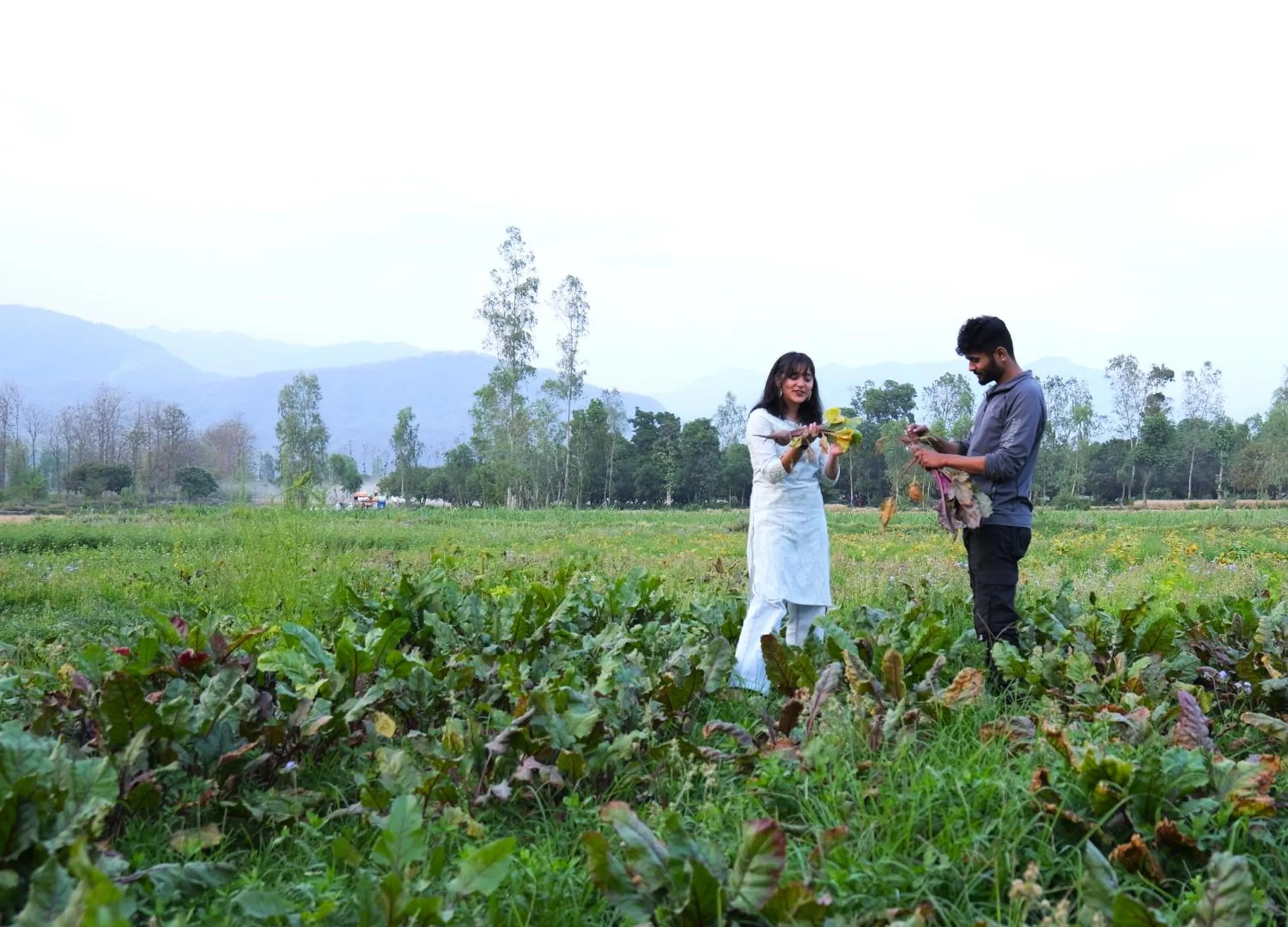 Natural landscape in Sukoon - A Wellness Resort, Uttarakhand