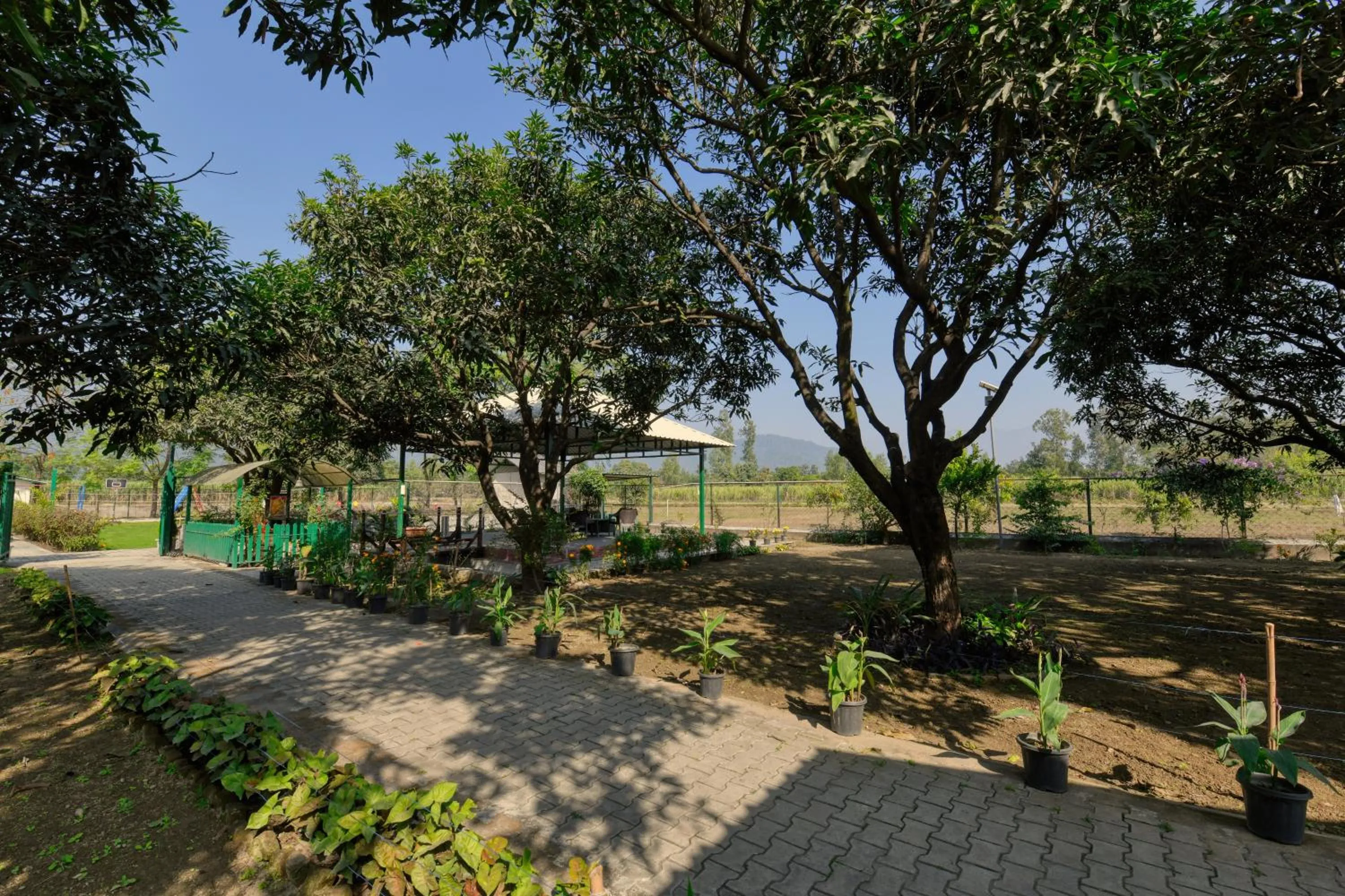 Sukoon - A Wellness Resort, Uttarakhand