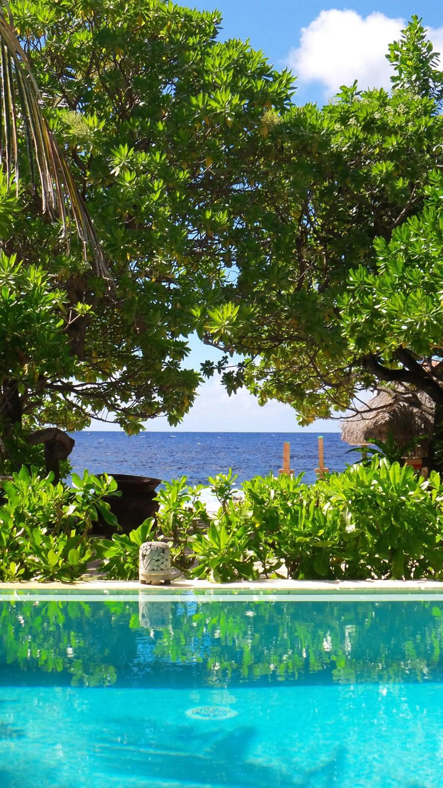 Natural landscape in Green Lodge Moorea