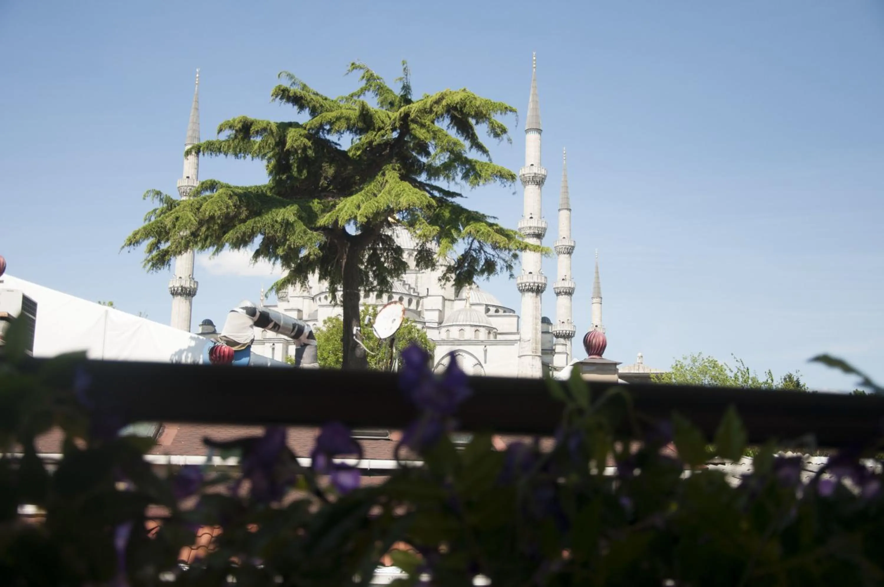 View (from property/room) in Grand Ambiance Hotel