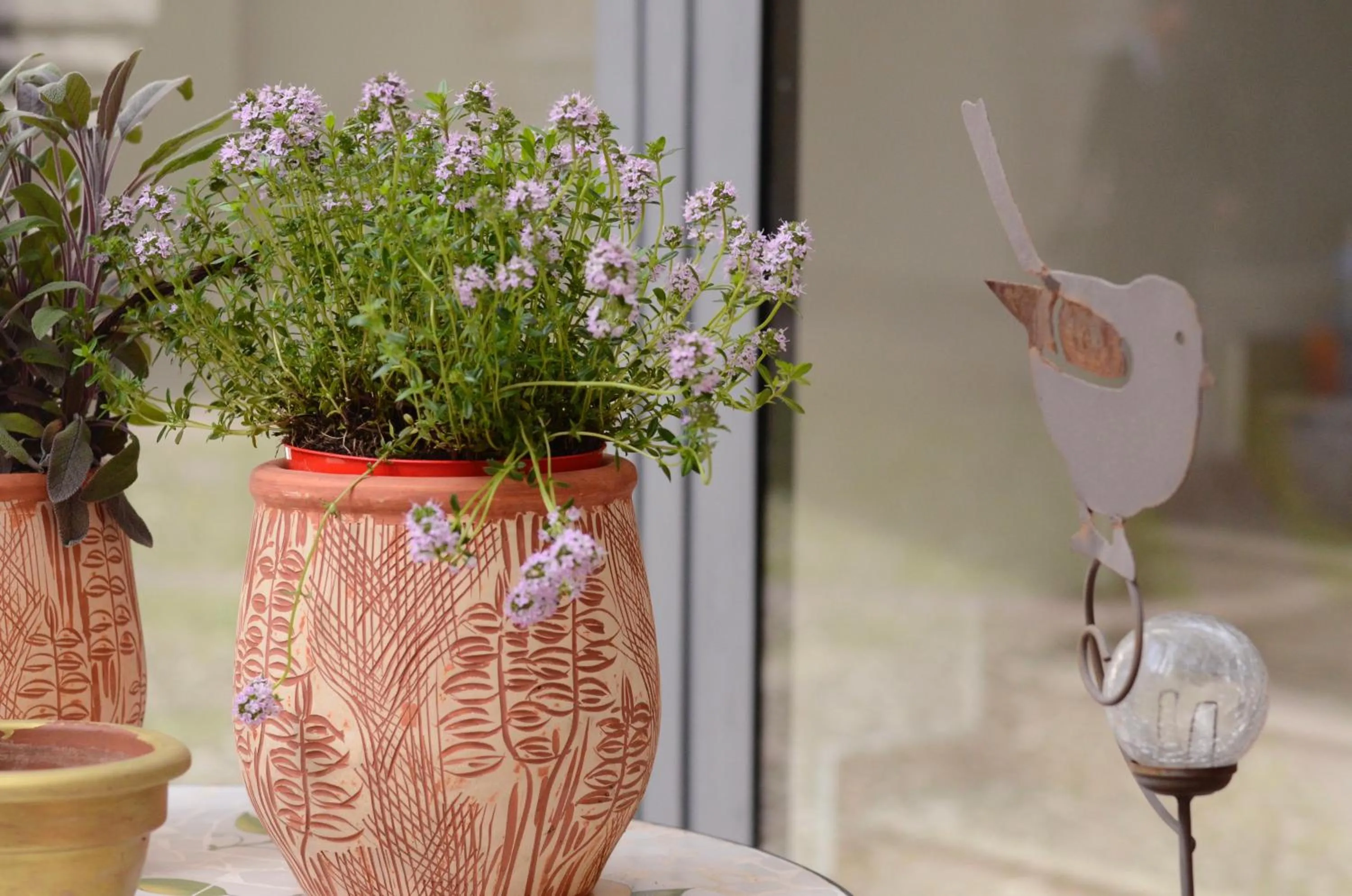 B&B Corte Santa Maria