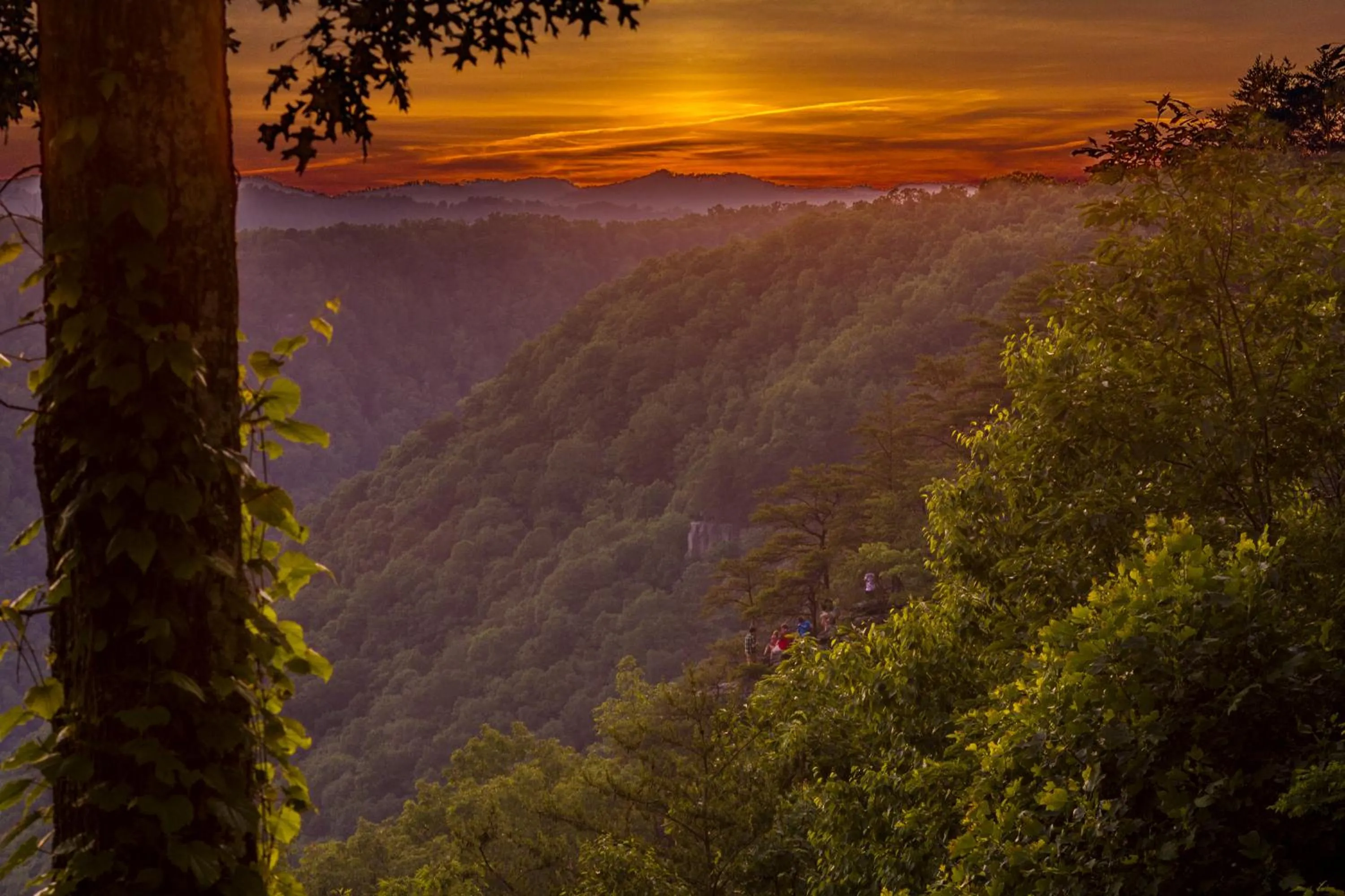 Natural landscape in Adventures on the Gorge