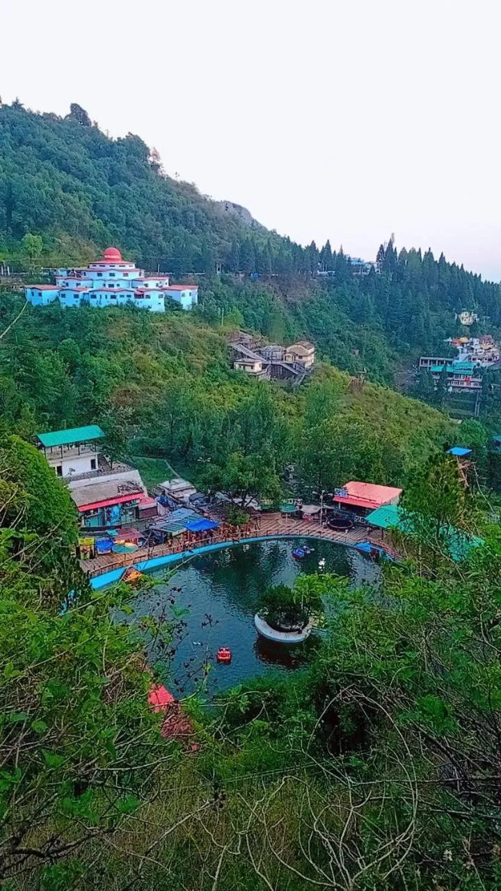 Hotel The Pine Villa