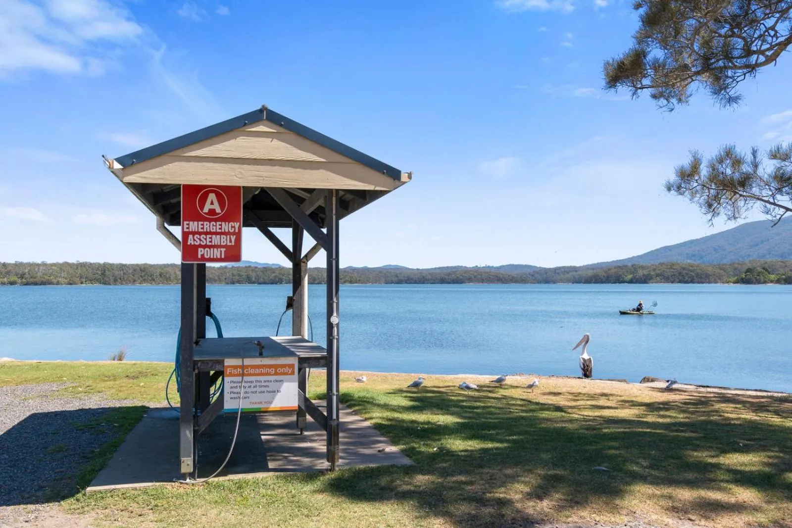Fishing in Ingenia Holidays Bermagui