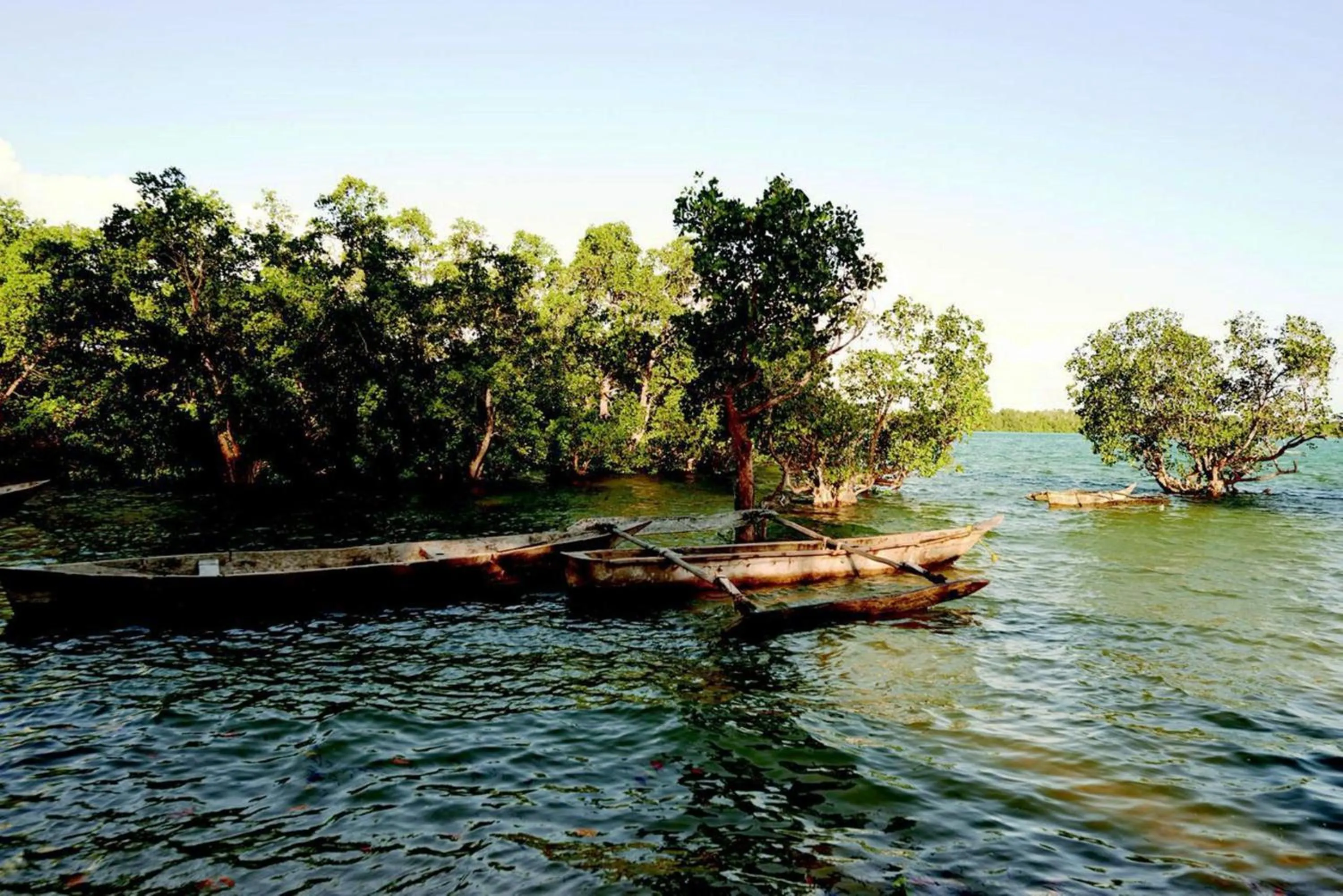Natural landscape in The Aiyana Resort & Spa