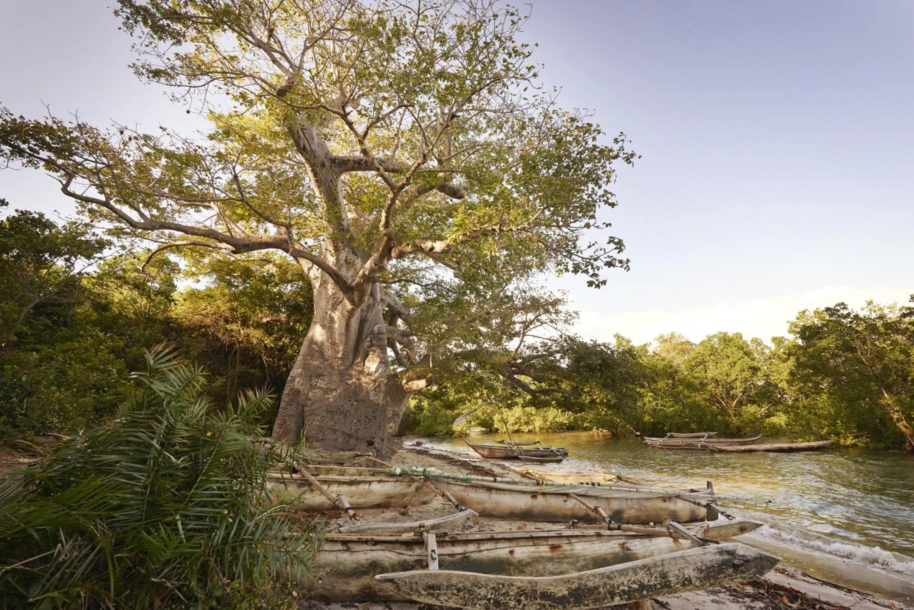 Area and facilities in The Aiyana Resort & Spa