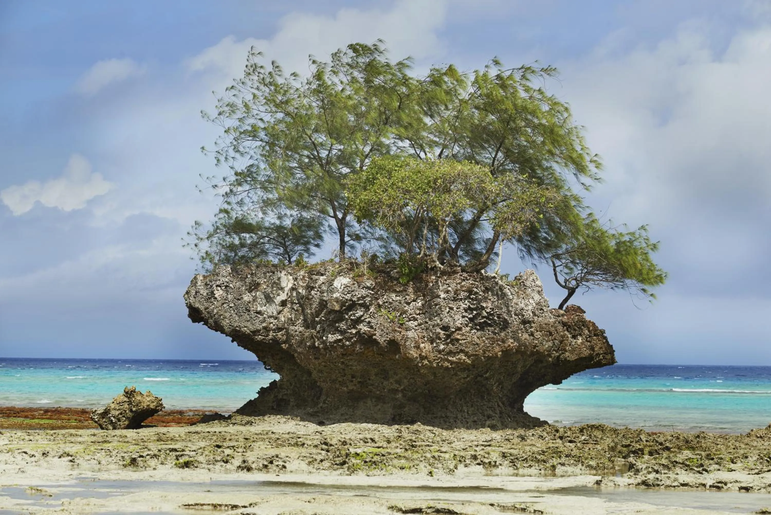 Natural landscape in The Aiyana Resort & Spa