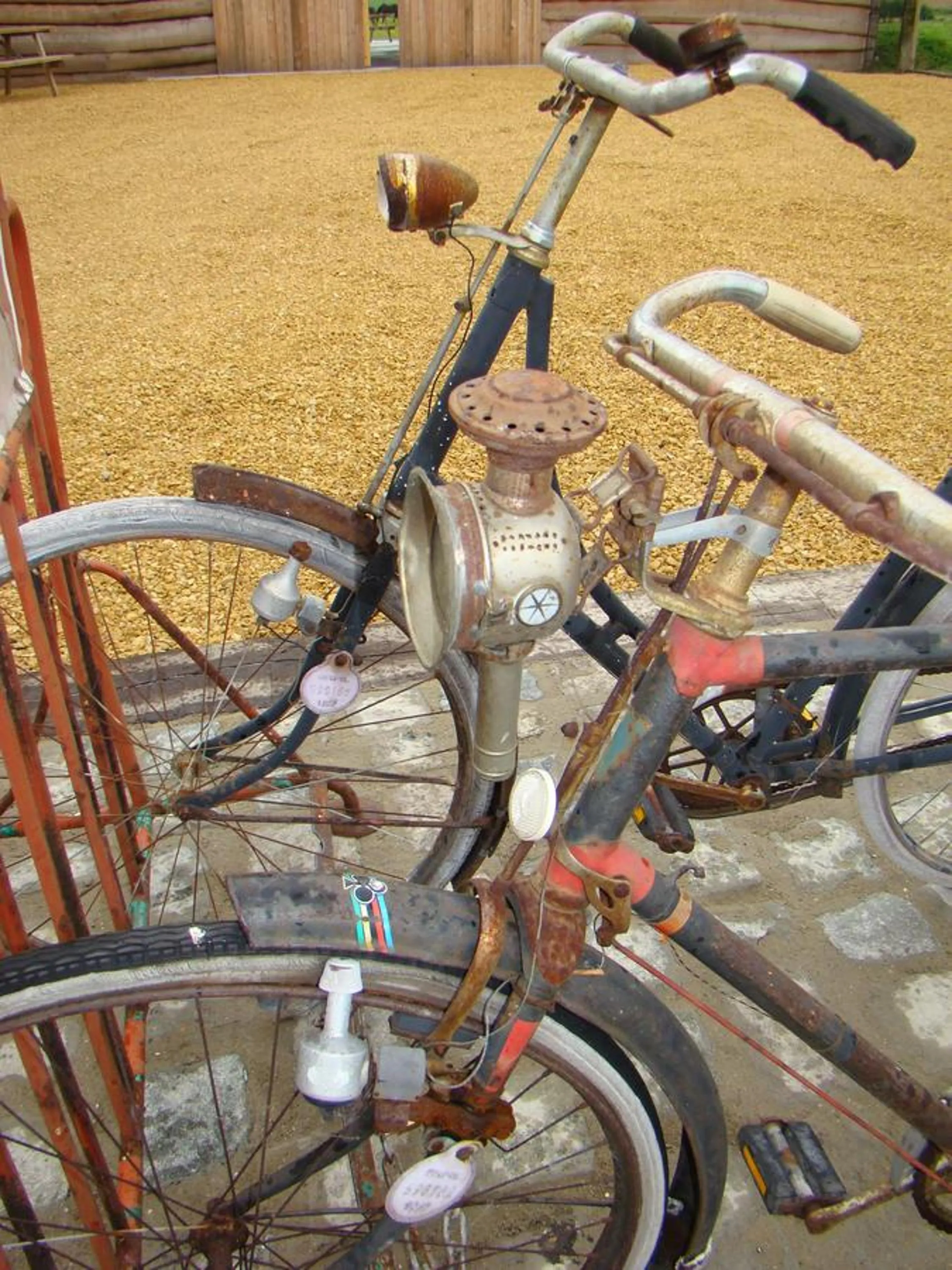 Fitness centre/facilities in Eeuwenhout vakantiedomein