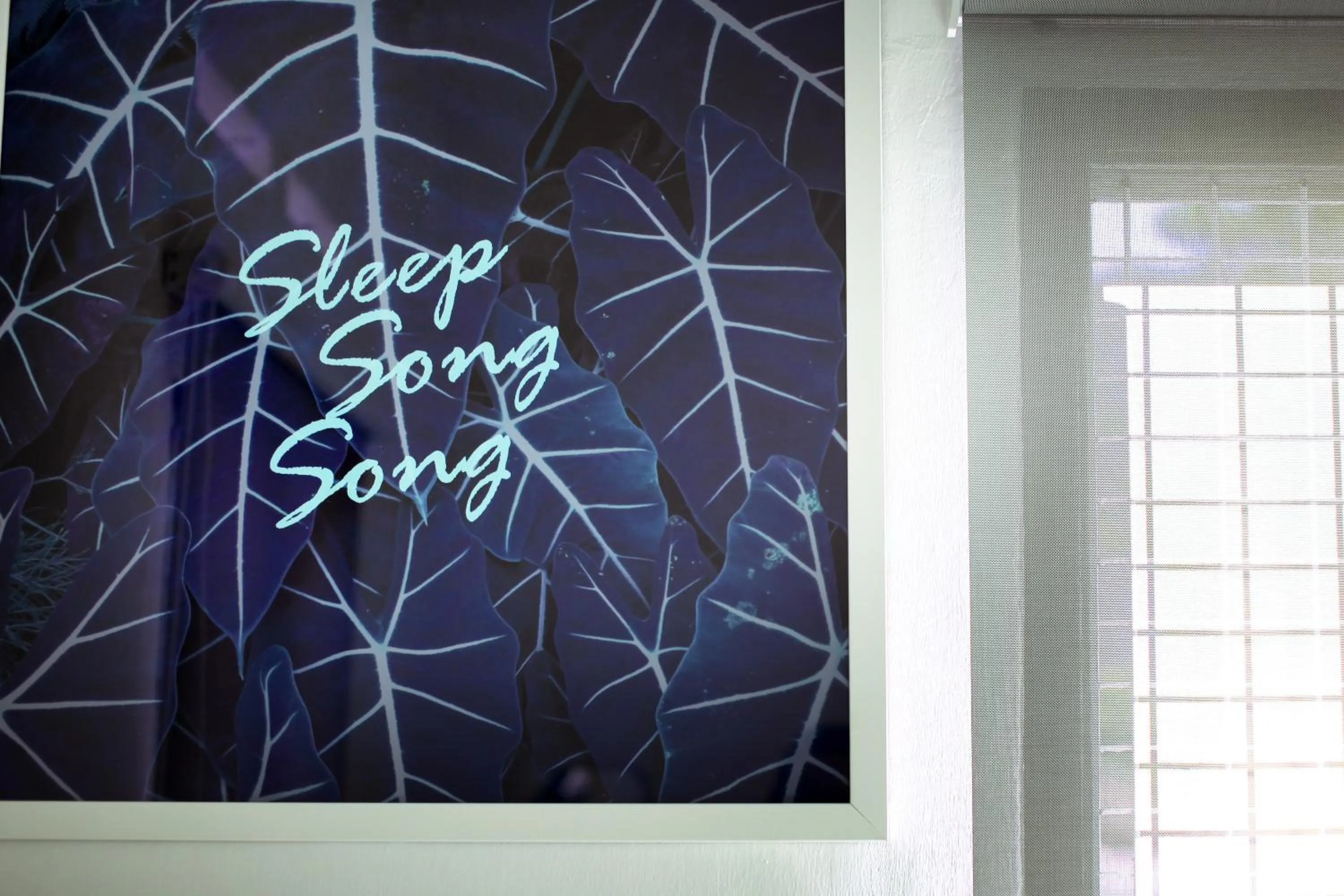 Day in Stay SongSong Mount Erskine