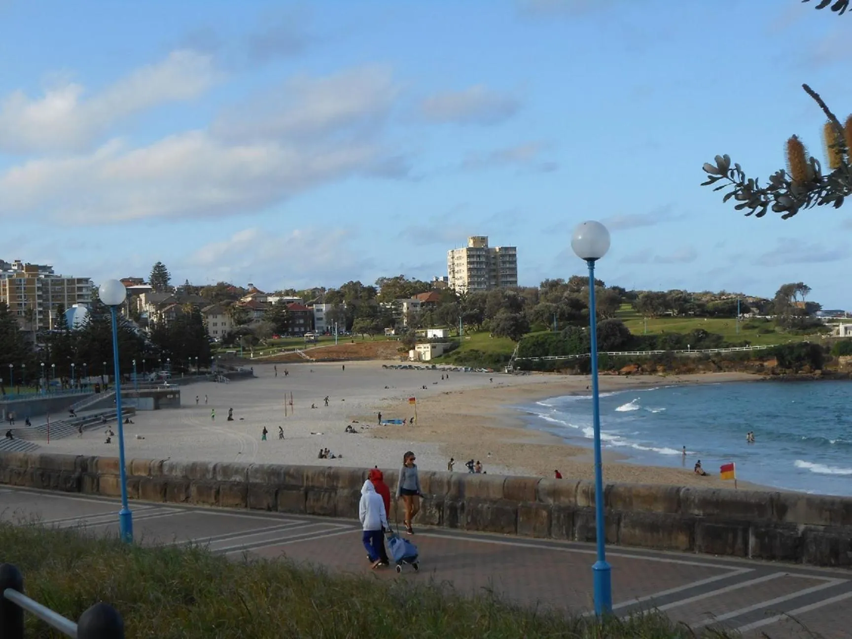 Beach in PodBed Coogee Beachside
