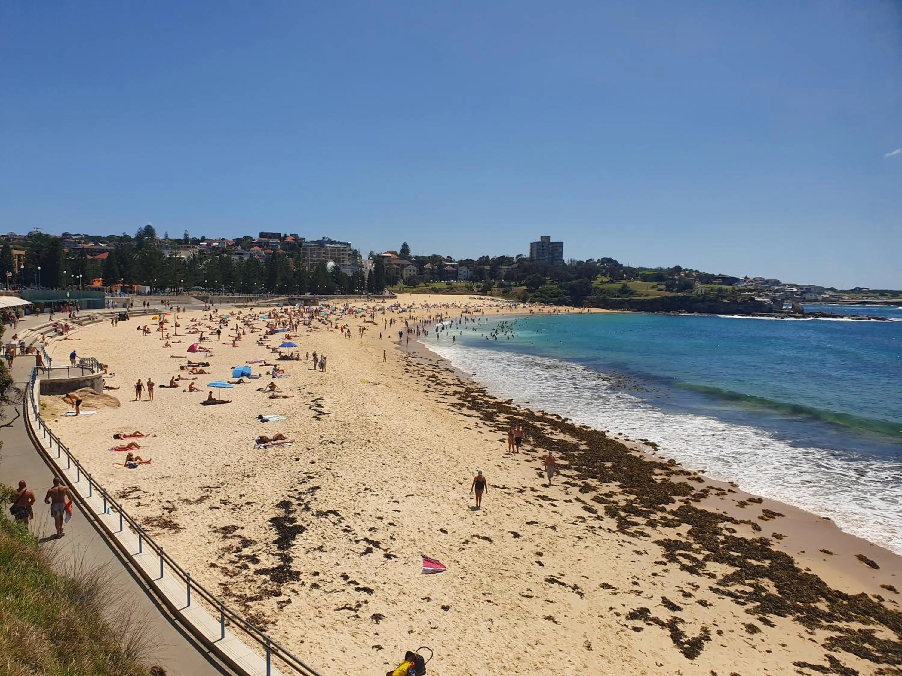 Beach in PodBed Coogee Beachside