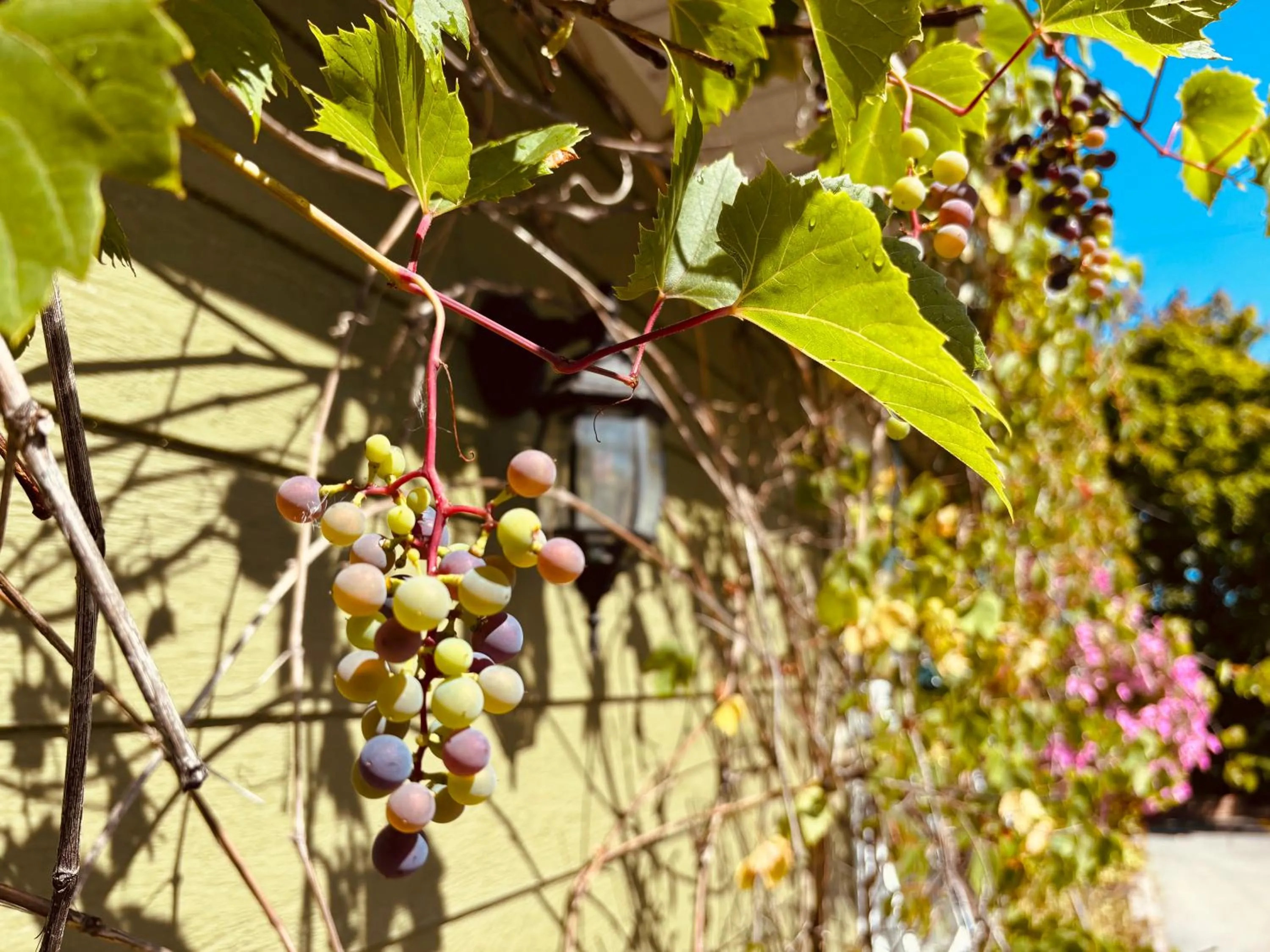 Day in Auberge Sous les Arbres