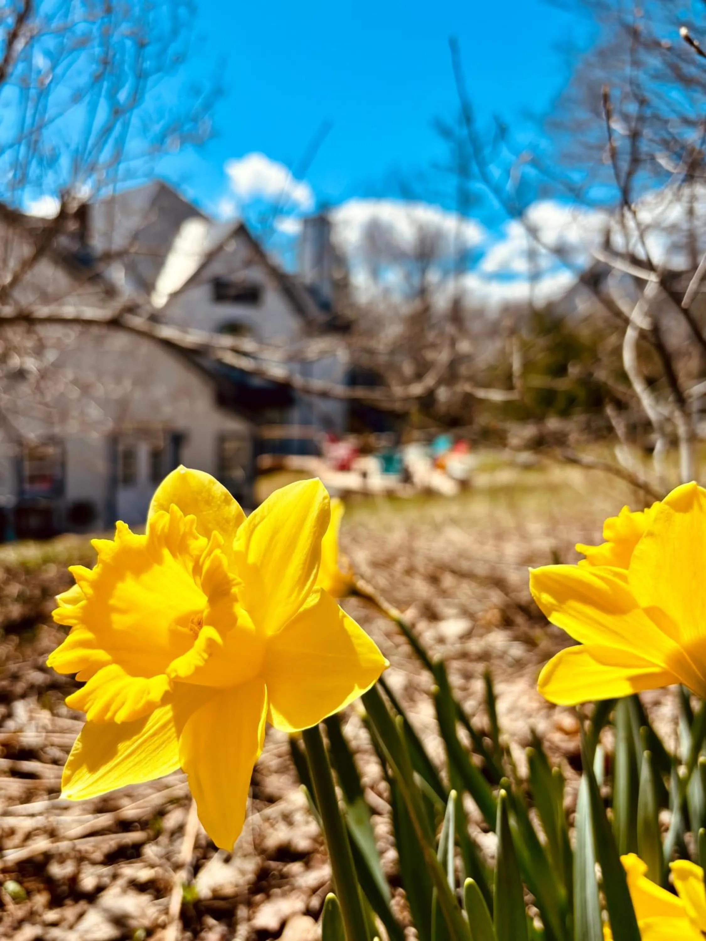 Property building in Auberge Sous les Arbres