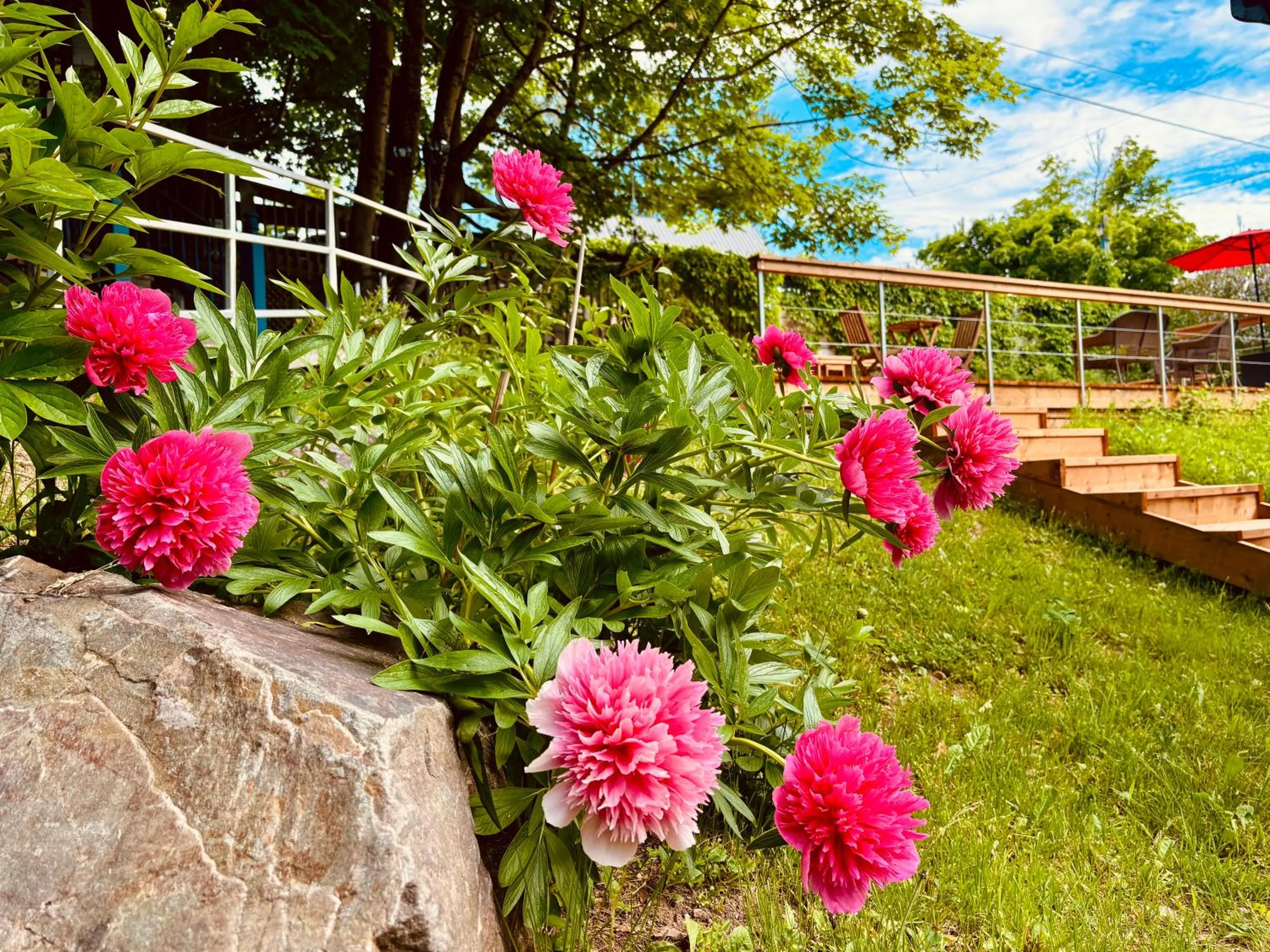 Spring in Auberge Sous les Arbres