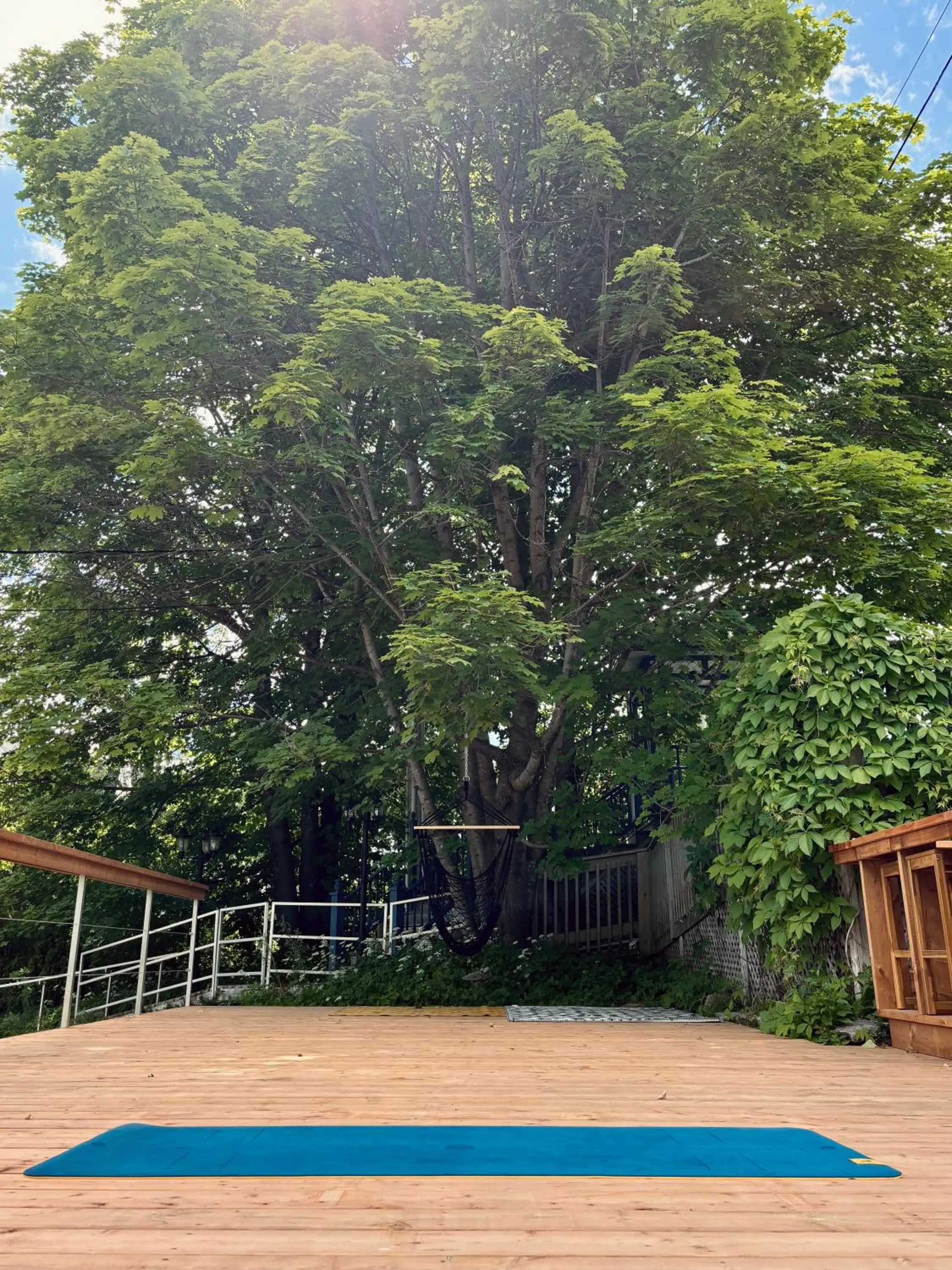 Natural landscape in Auberge Sous les Arbres