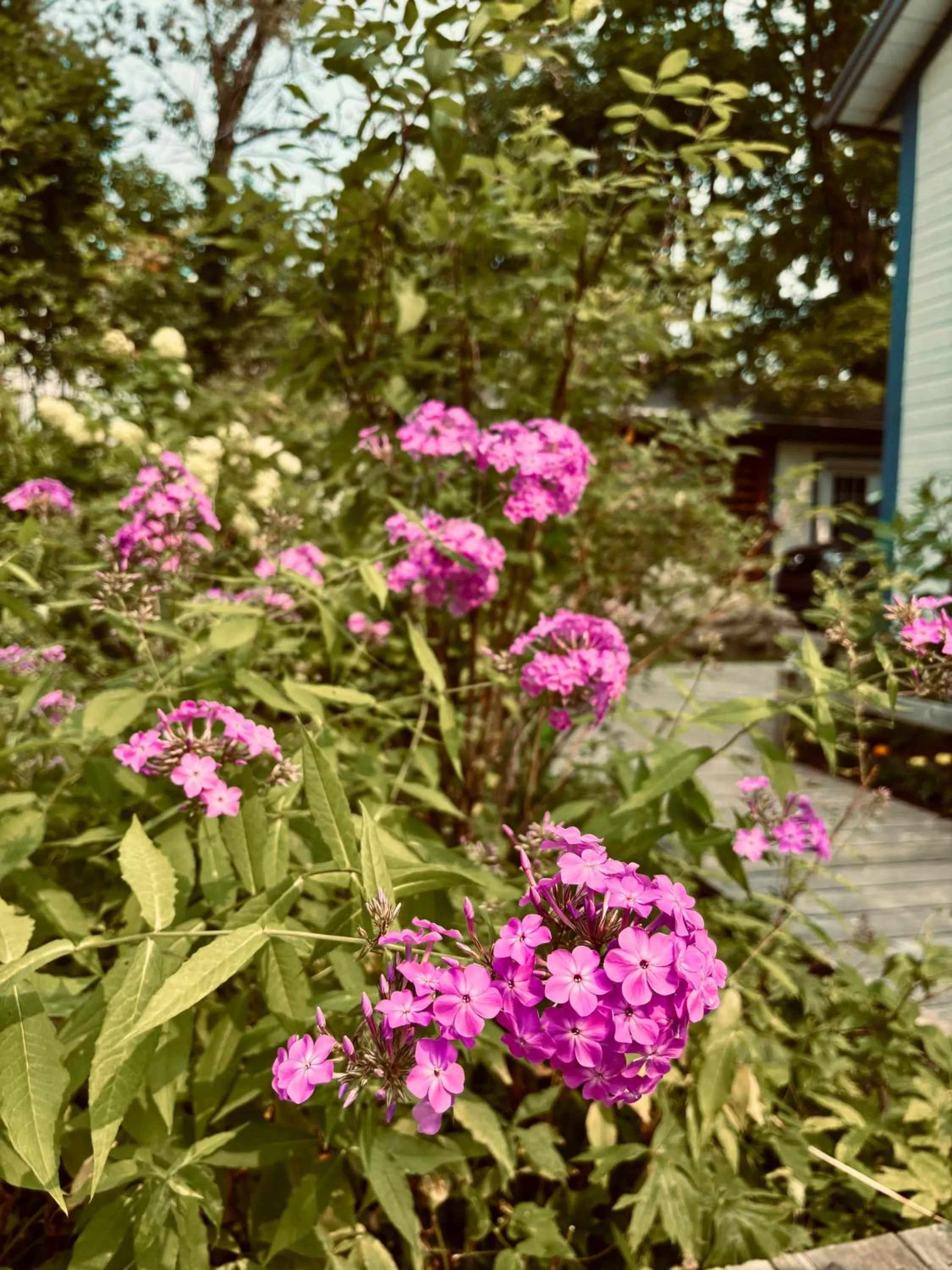 Spring in Auberge Sous les Arbres