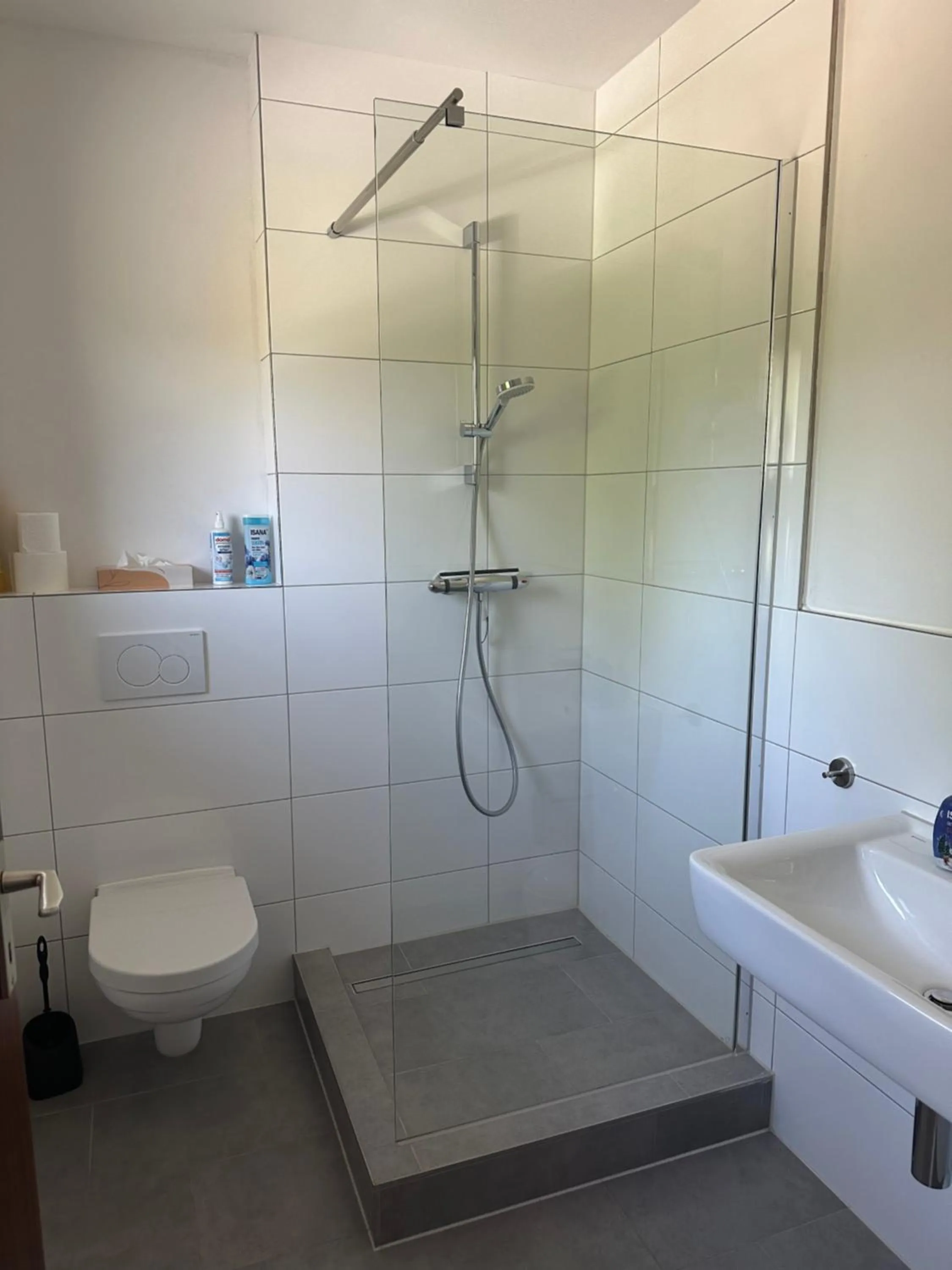 Shower in Hotel Rennekamp