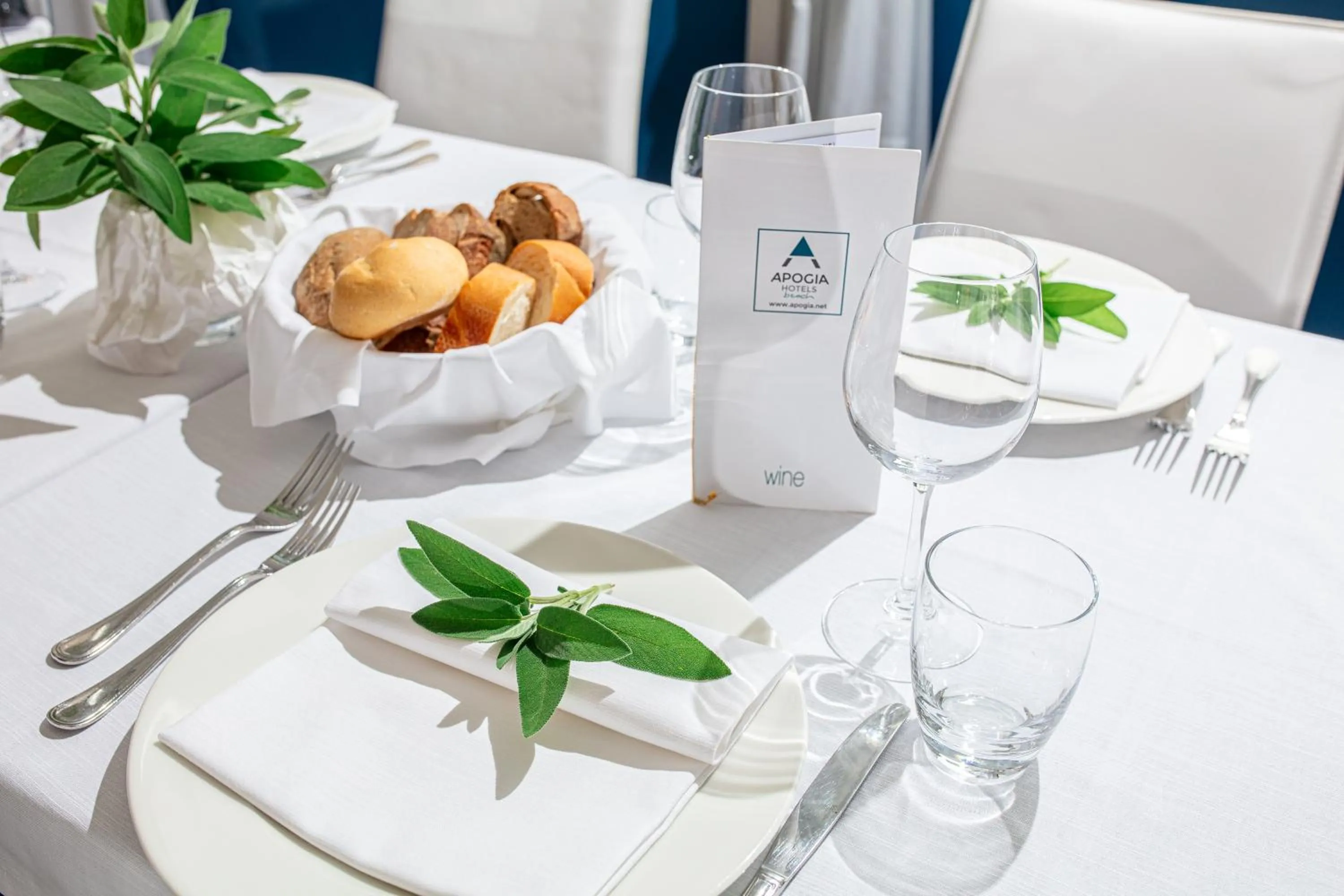 Restaurant/places to eat in Hotel Medusa Splendid