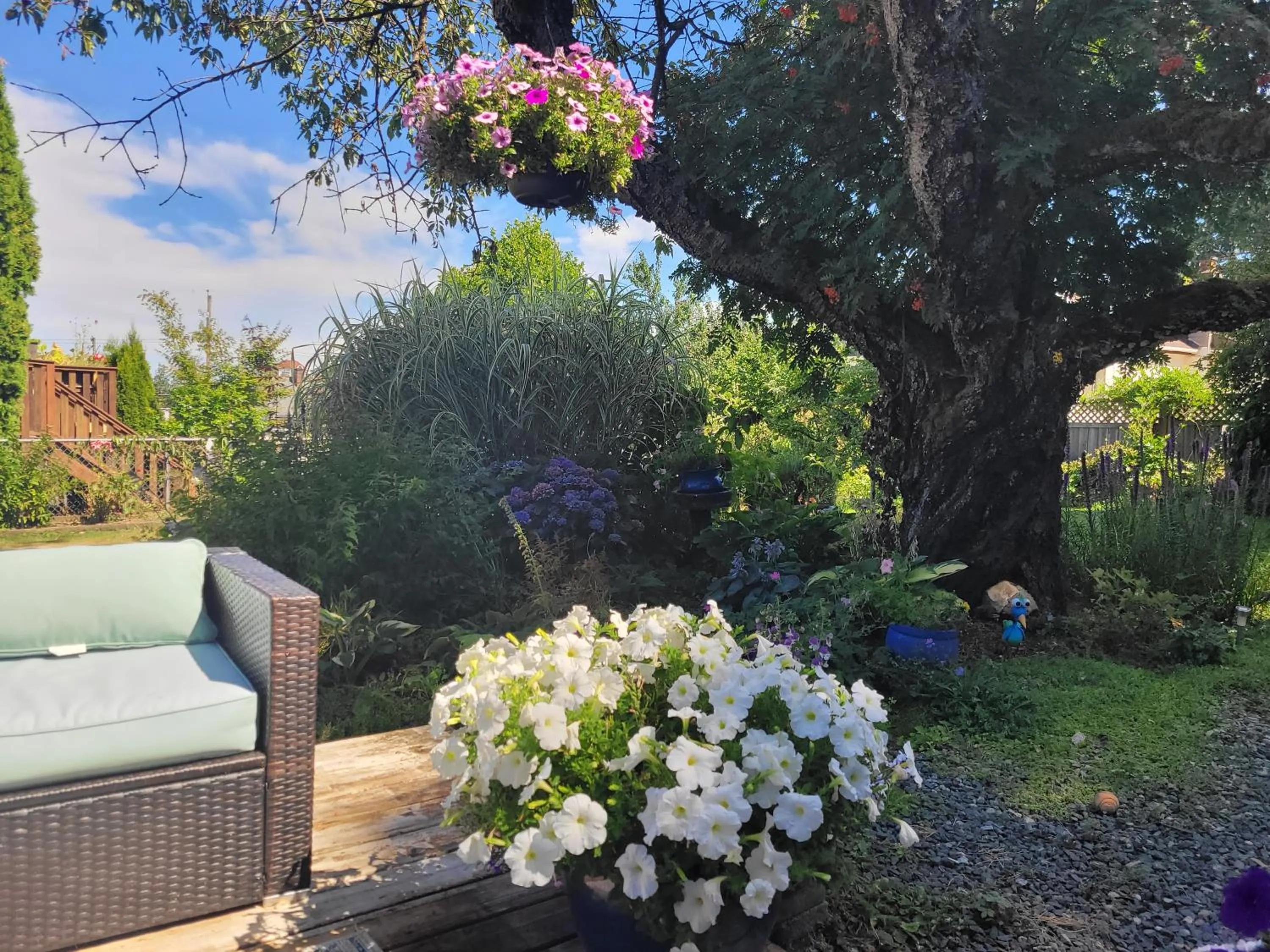 Garden in Campbell Cottage B&B