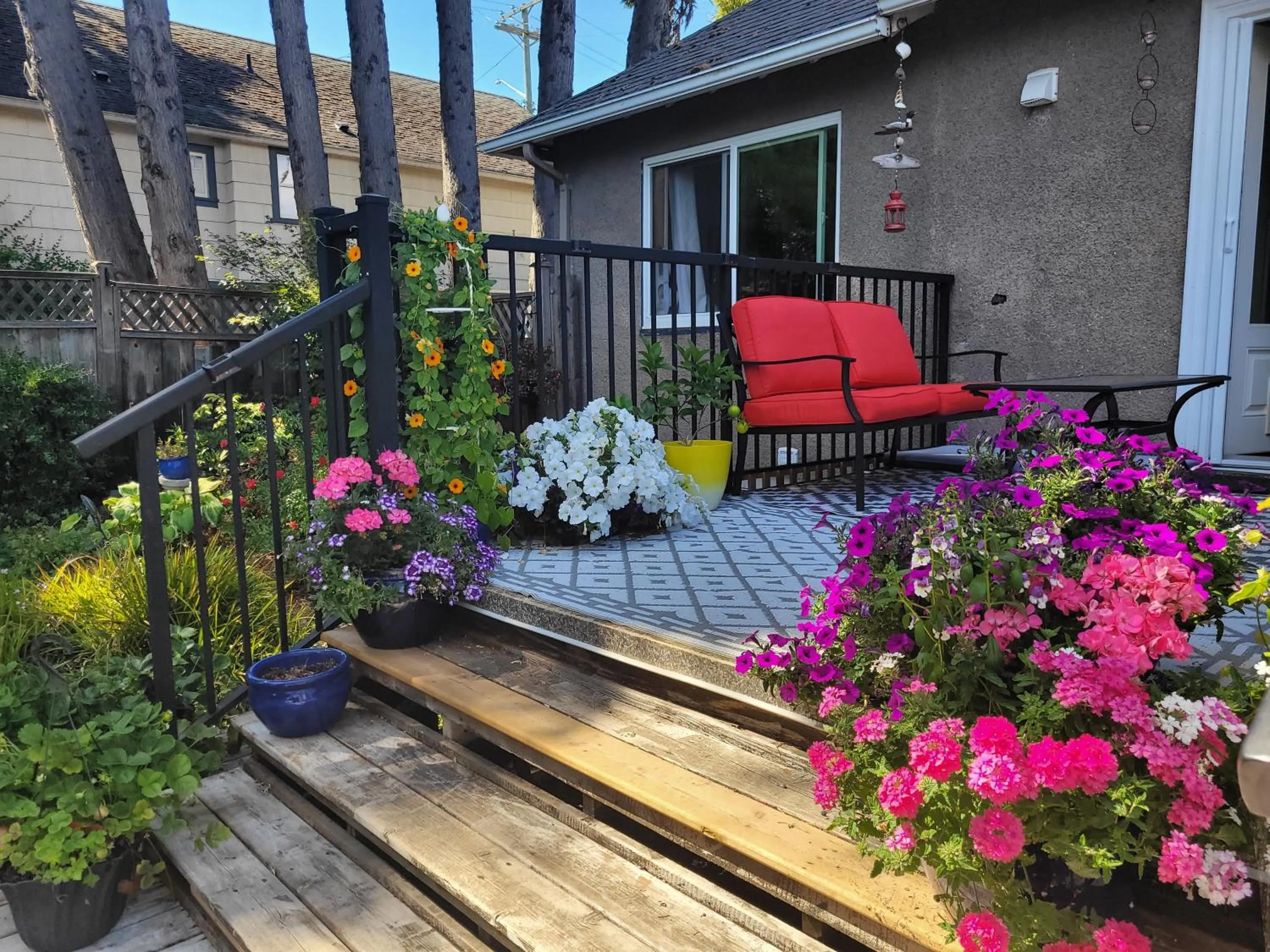 Balcony/Terrace in Campbell Cottage B&B